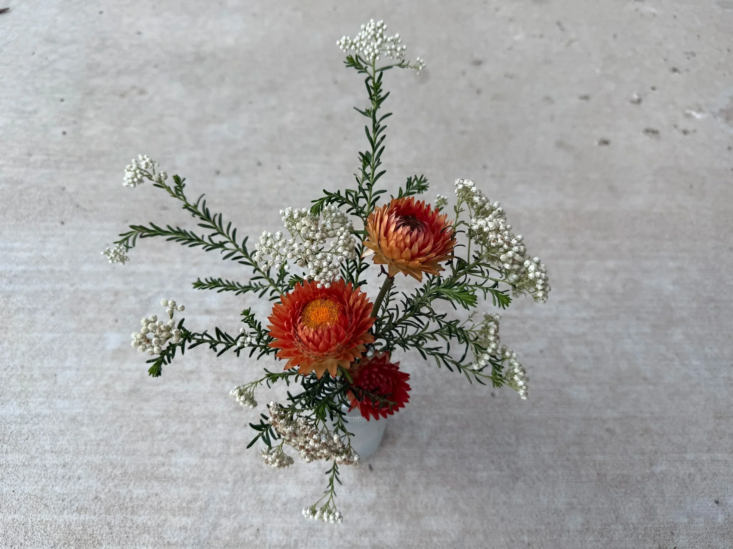 Rice flower and strawflowers