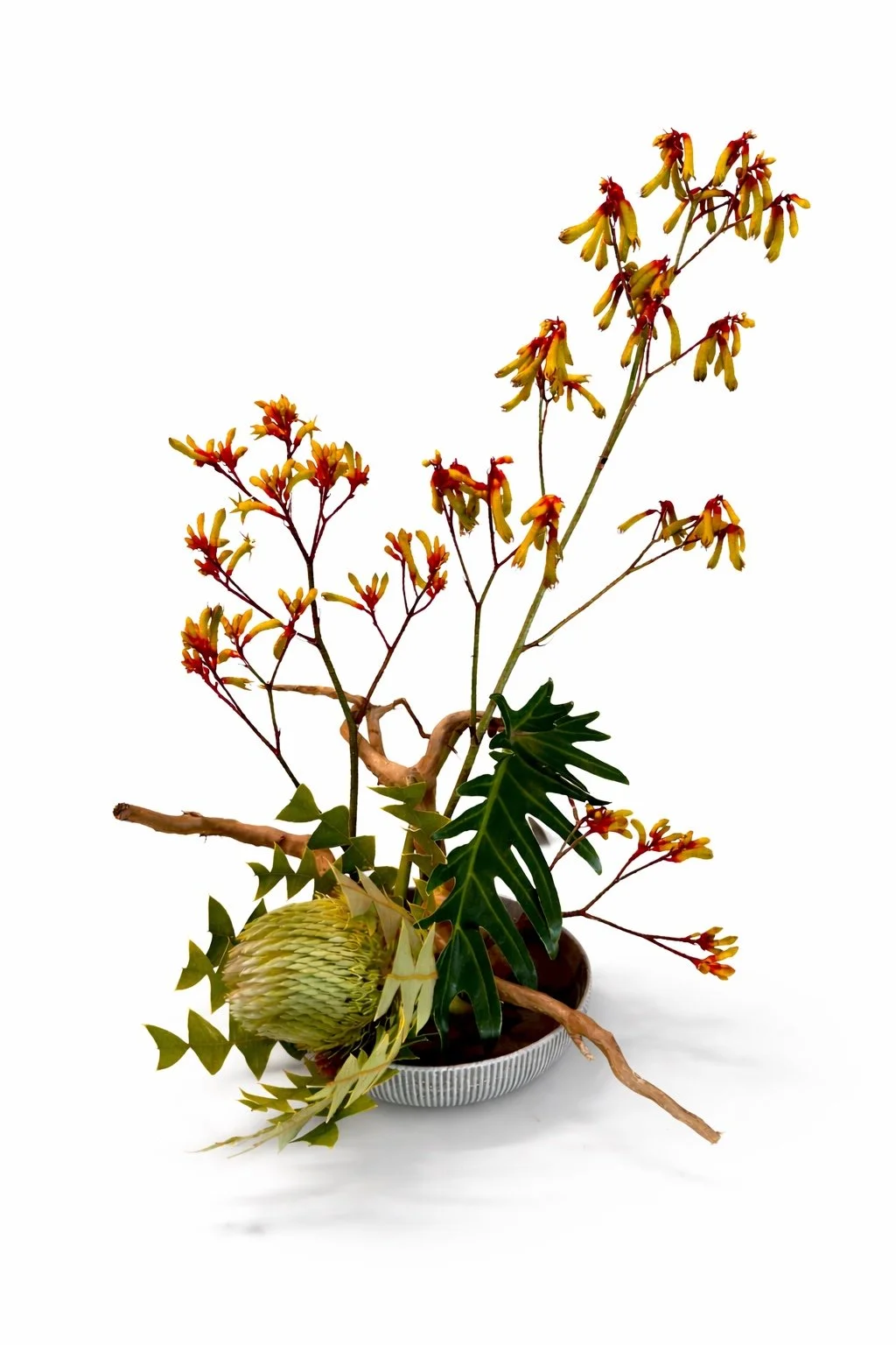 Mixed botanical display
