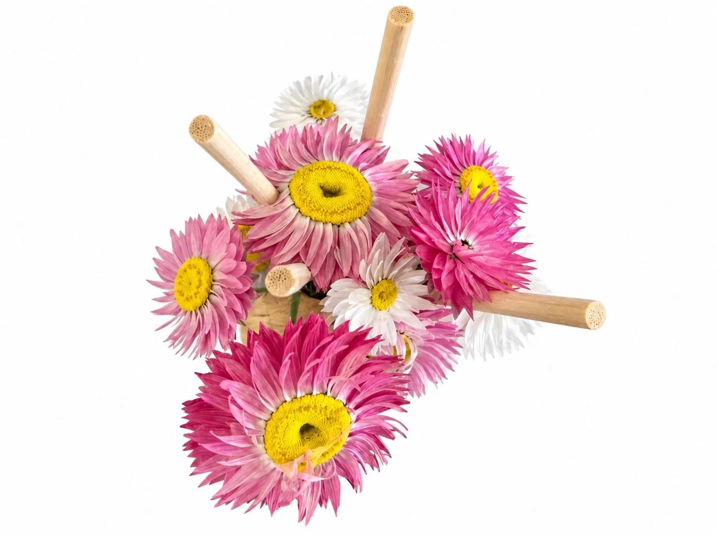 Flowers and Reeds.jpg