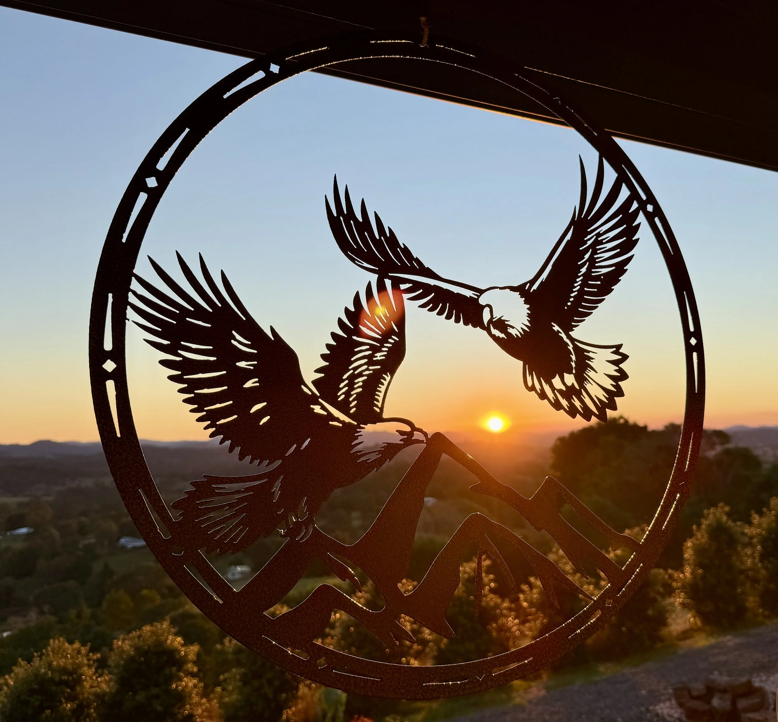 Wedge-tailed eagle metal art