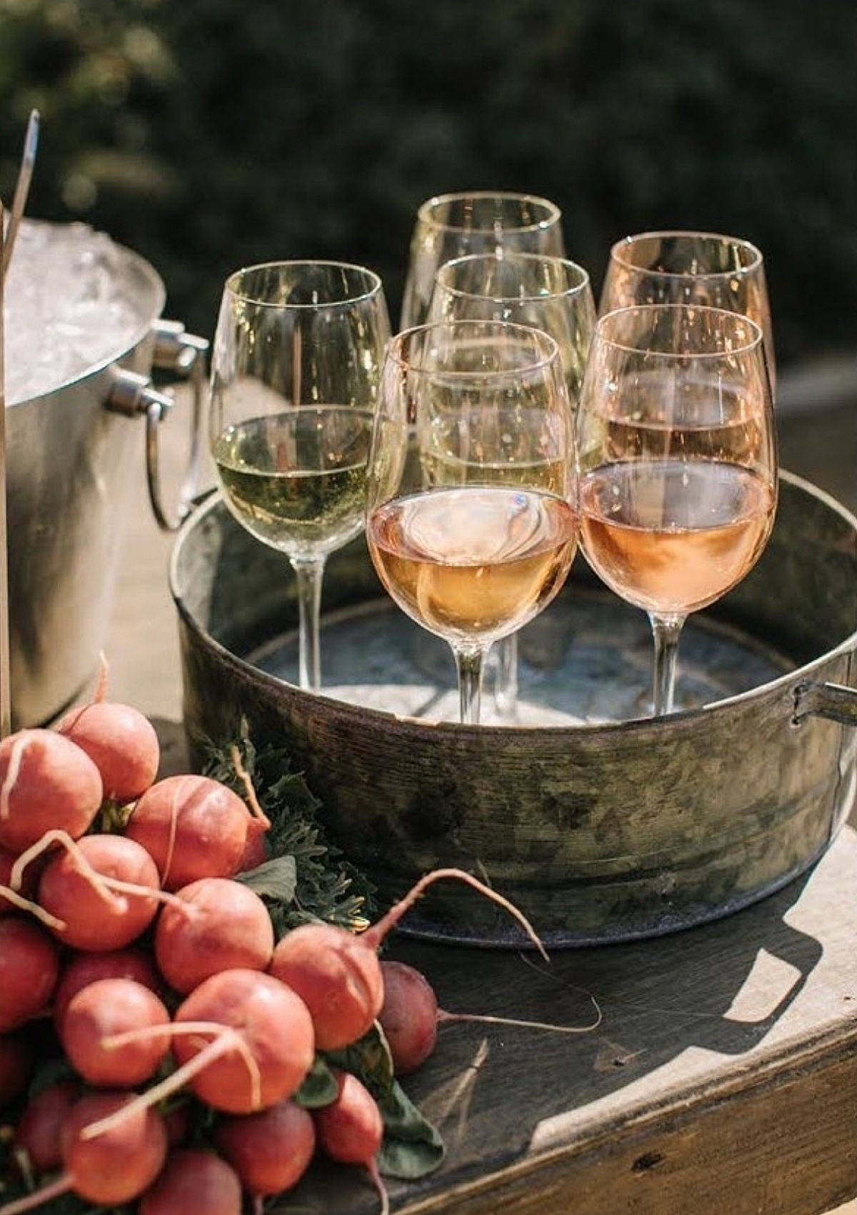 Six glasses of white and rosé wine on a tray, with a bunch of radishes on a wooden surface, and a metal bucket filled with ice in the background.