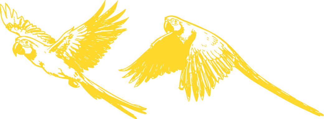 Alejandra &amp; Edward