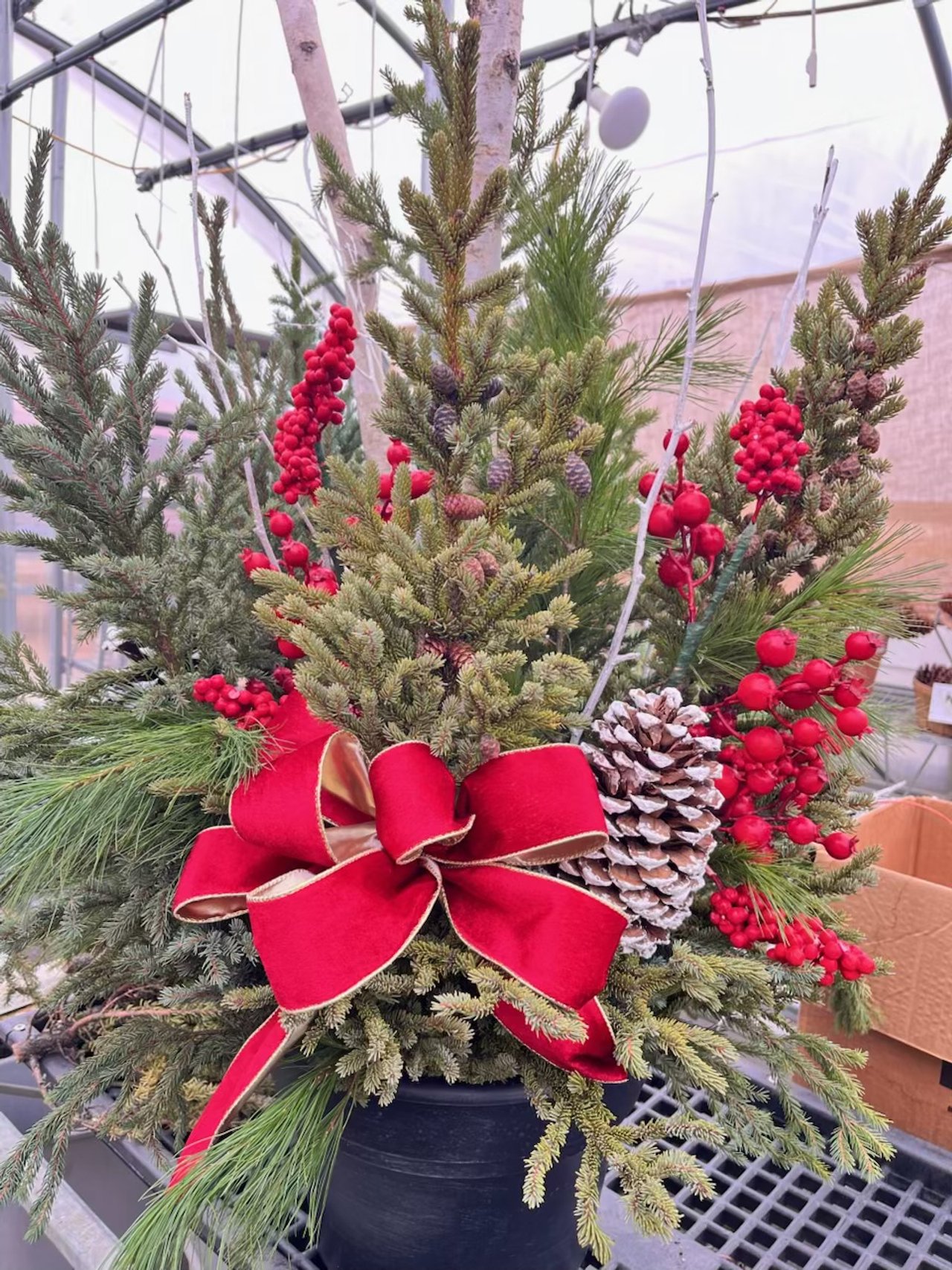A festive Christmas floral arrangement in a black pot, featuring pine, fir, and spruce branches, red berries, a pine cone, and a red and gold ribbon bow.