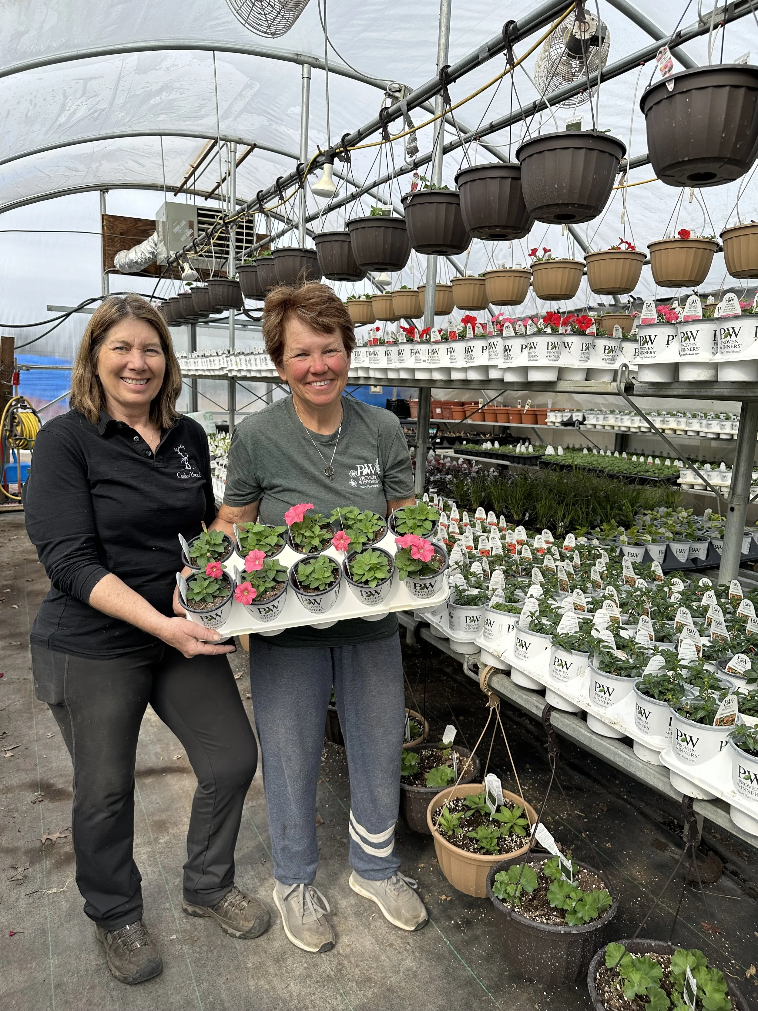 Two women standing together in a greenhouse, holding a tray of pink flowering plants, surrounded by shelves of potted plants and flowers.