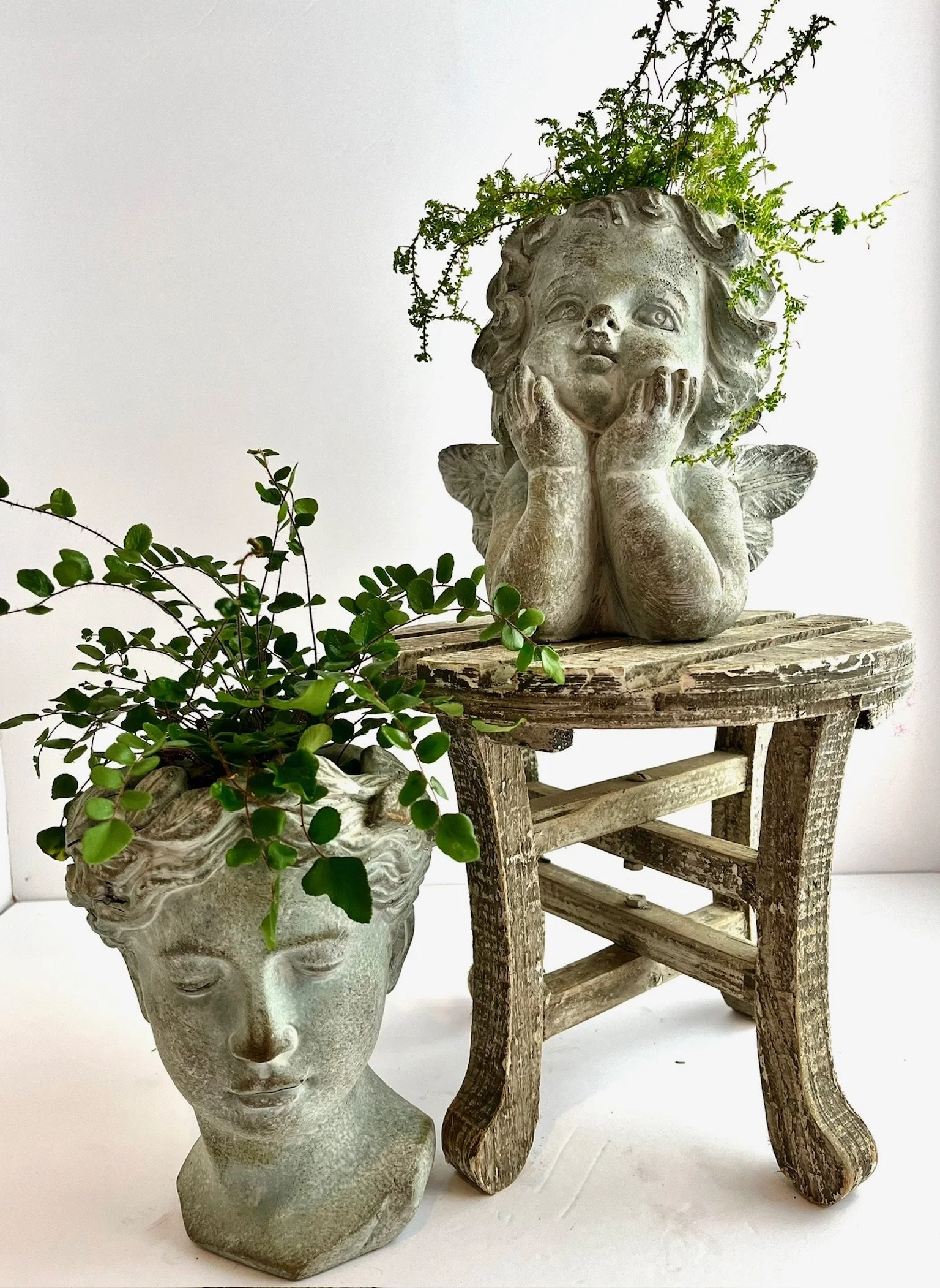 Decorative stone angel sculptures repurposed as planters with green plants, one on a small rustic wooden table and the other on the ground.