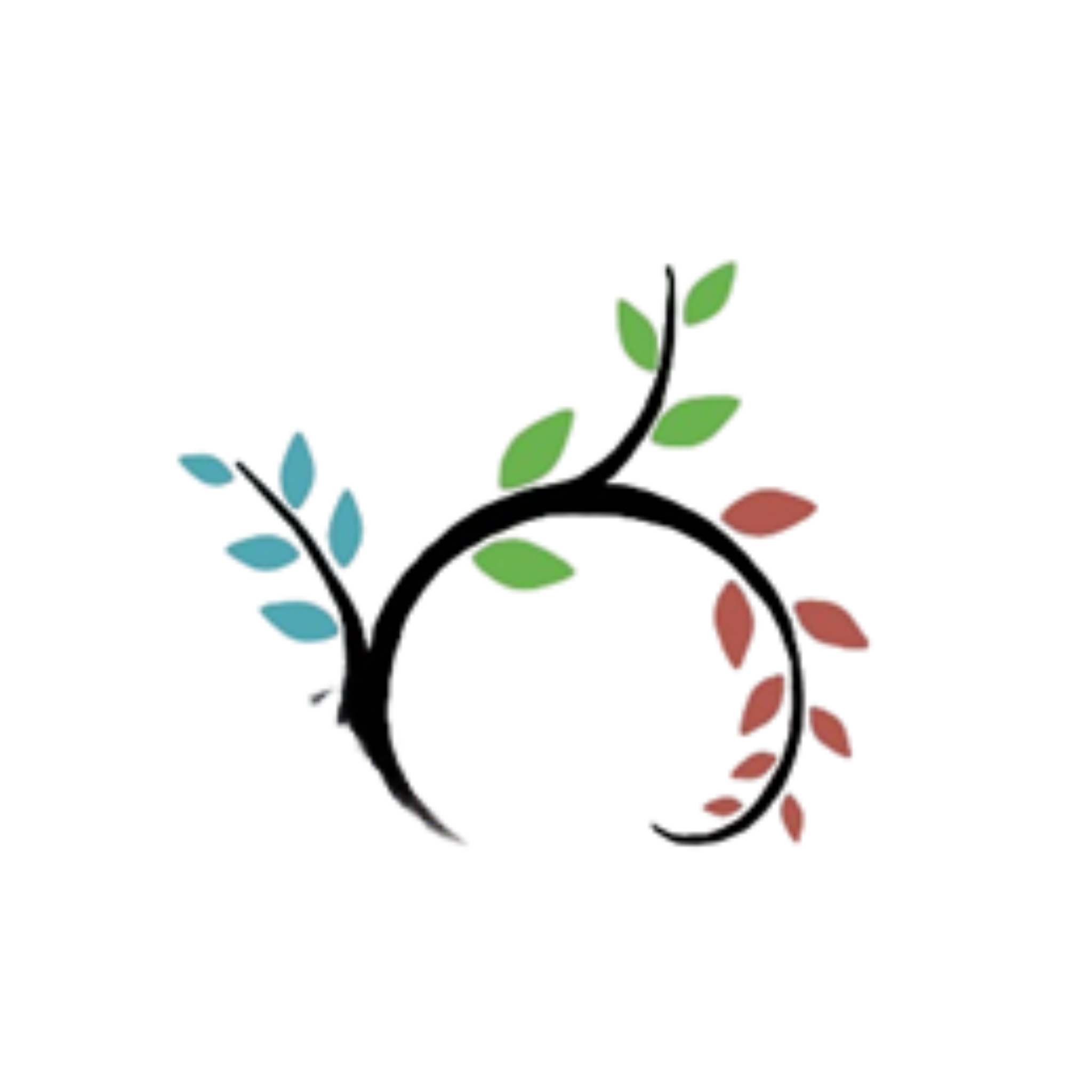 Colorful illustration of a circular growth chart with branches and leaves in blue, green, and red, representing plant growth or development.