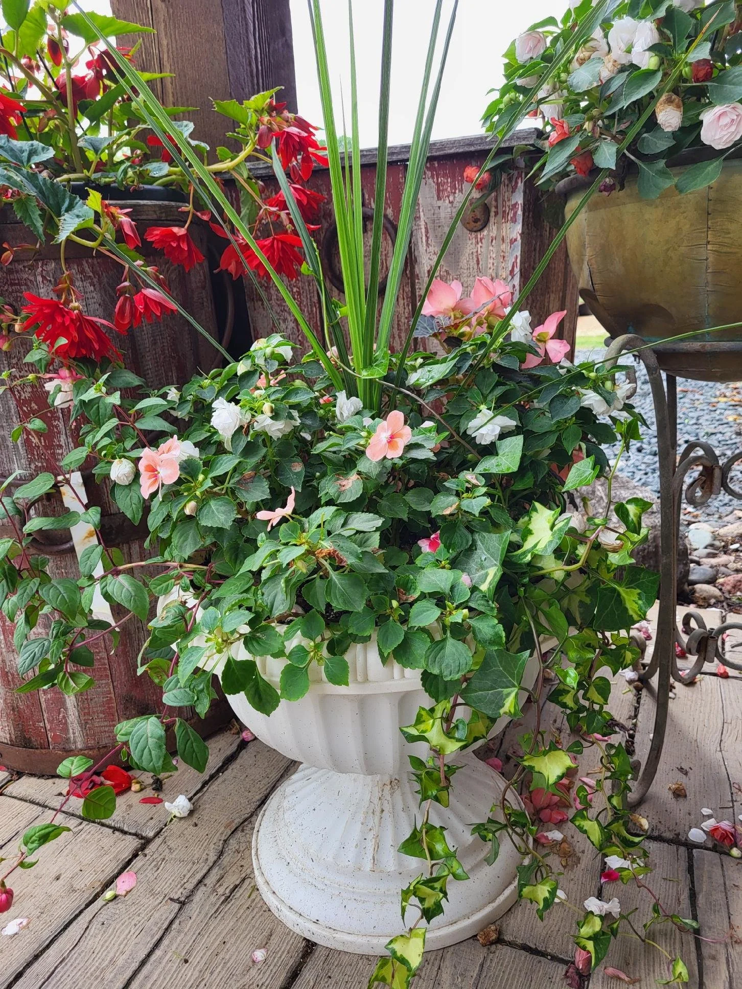 Potted flowering plants with pink, white, and red blossoms on a wooden porch.