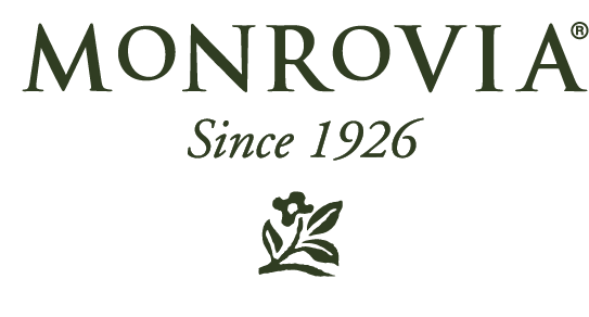 The Monrovia logo with the text 'Since 1926' and a leaf graphic, all in green.