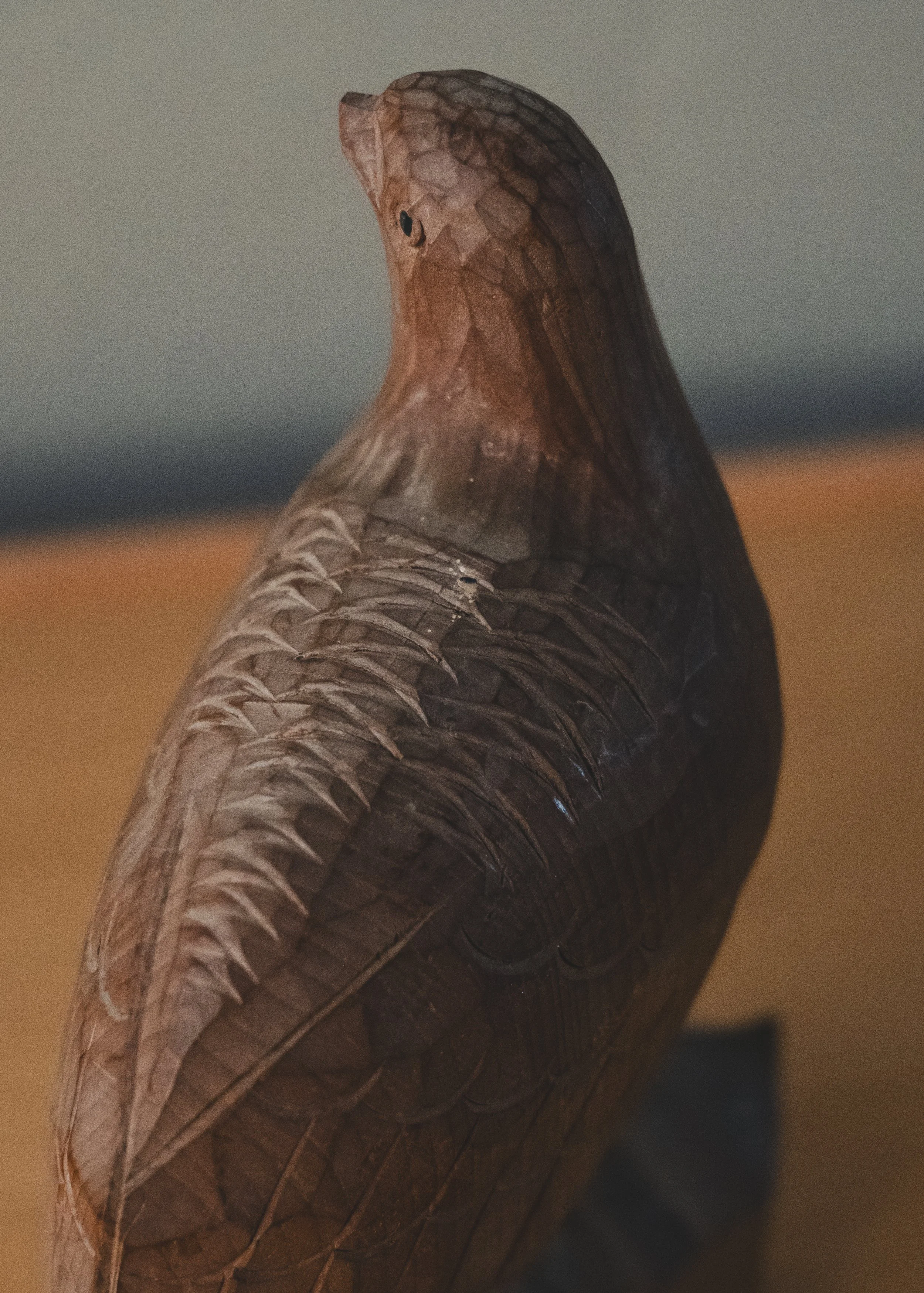 DSCF1305.jpg