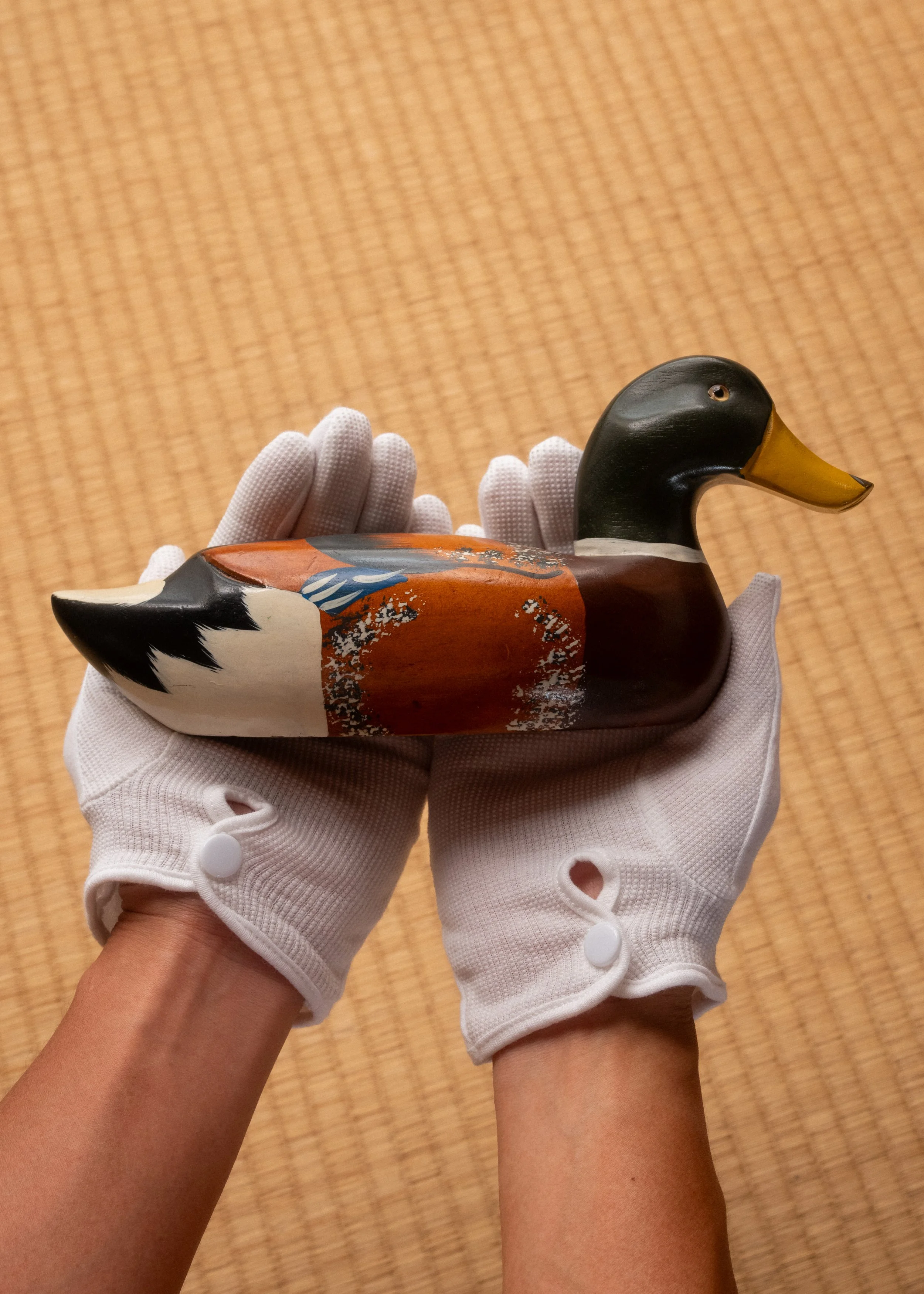 DSCF2249.jpg