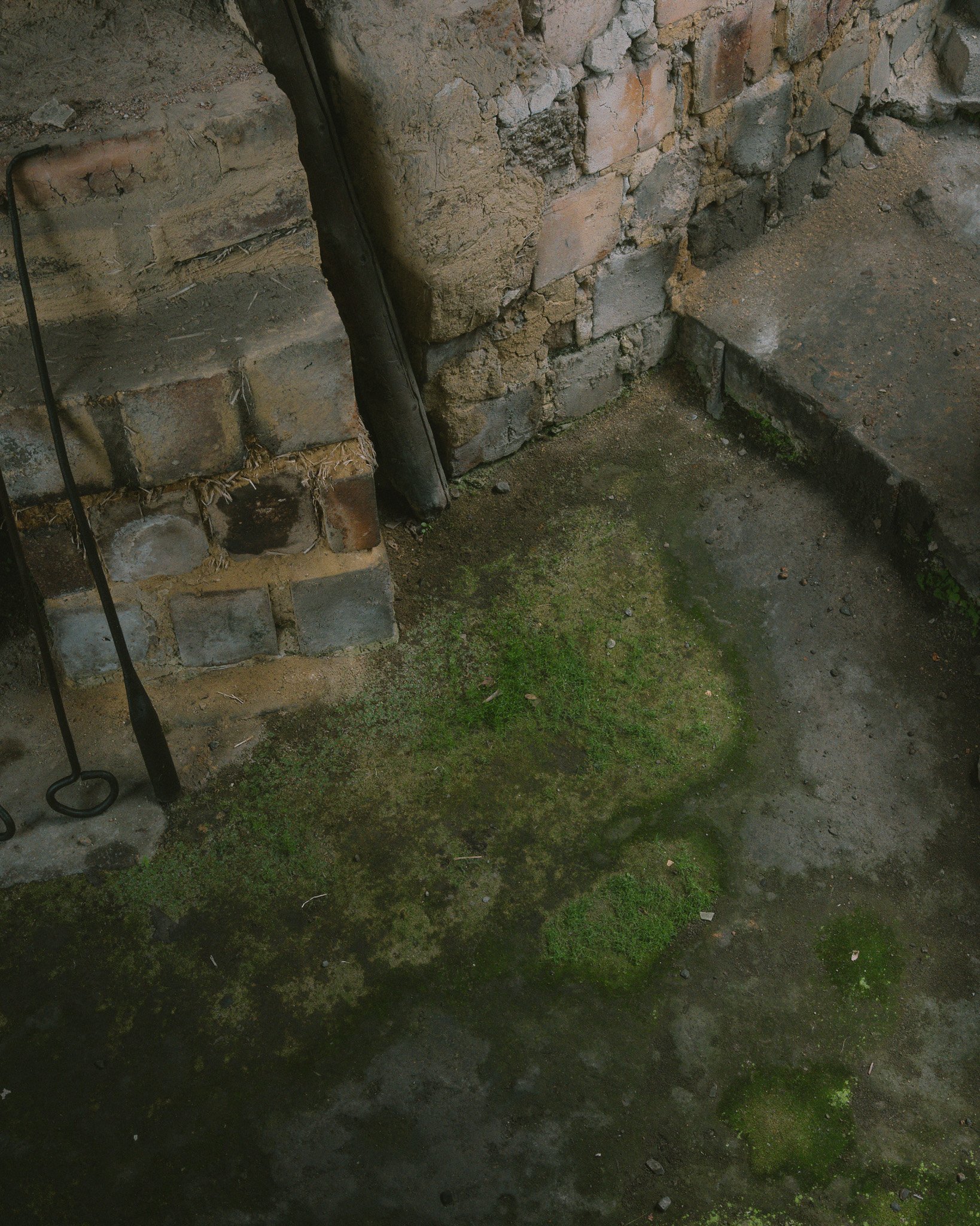 DSCF1845.jpg