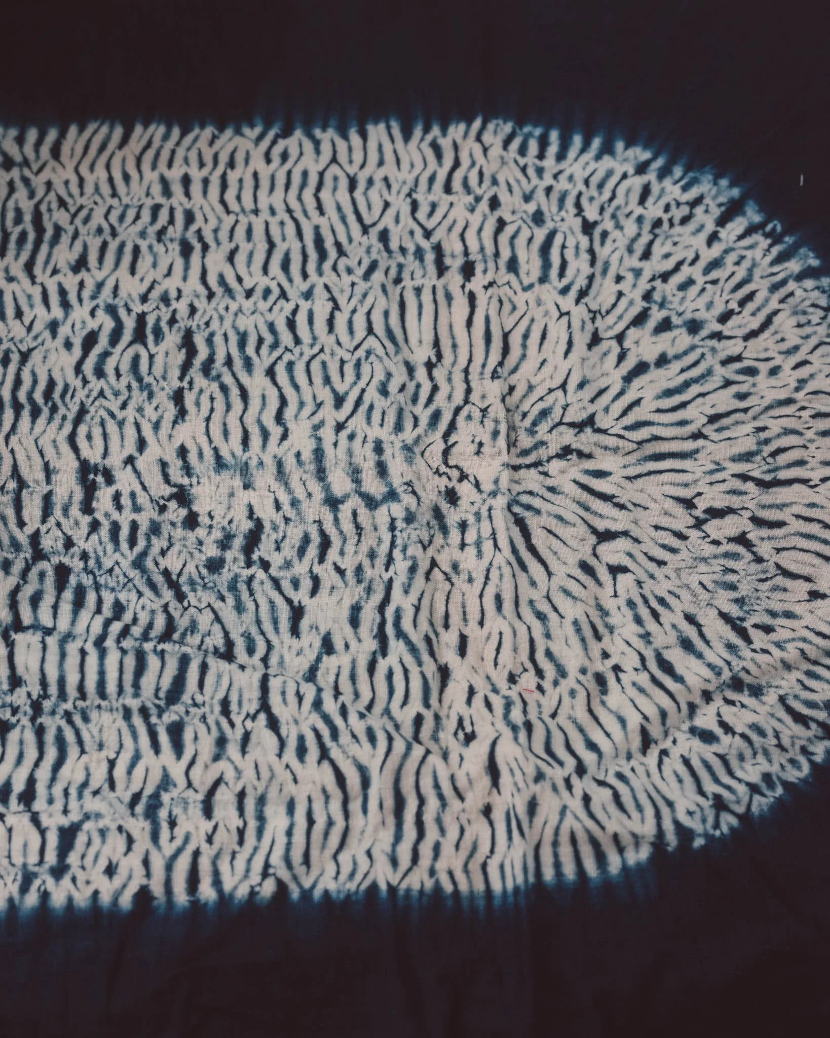 DSCF5492.jpg