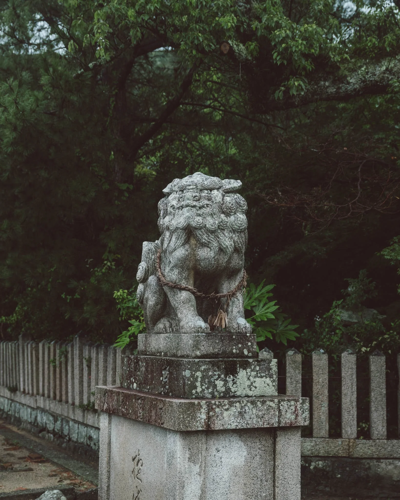 DSCF5562.jpg