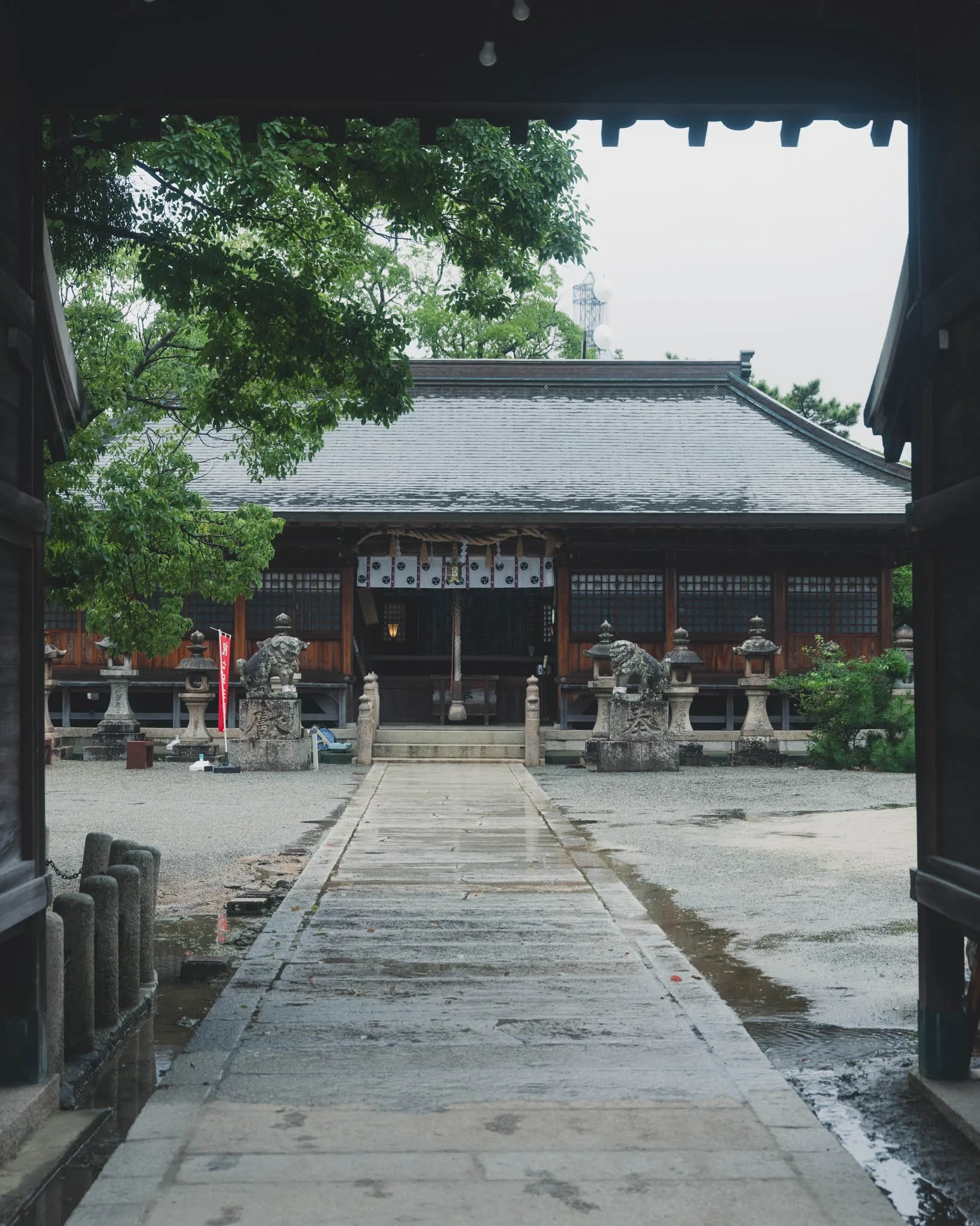 DSCF5563.jpg