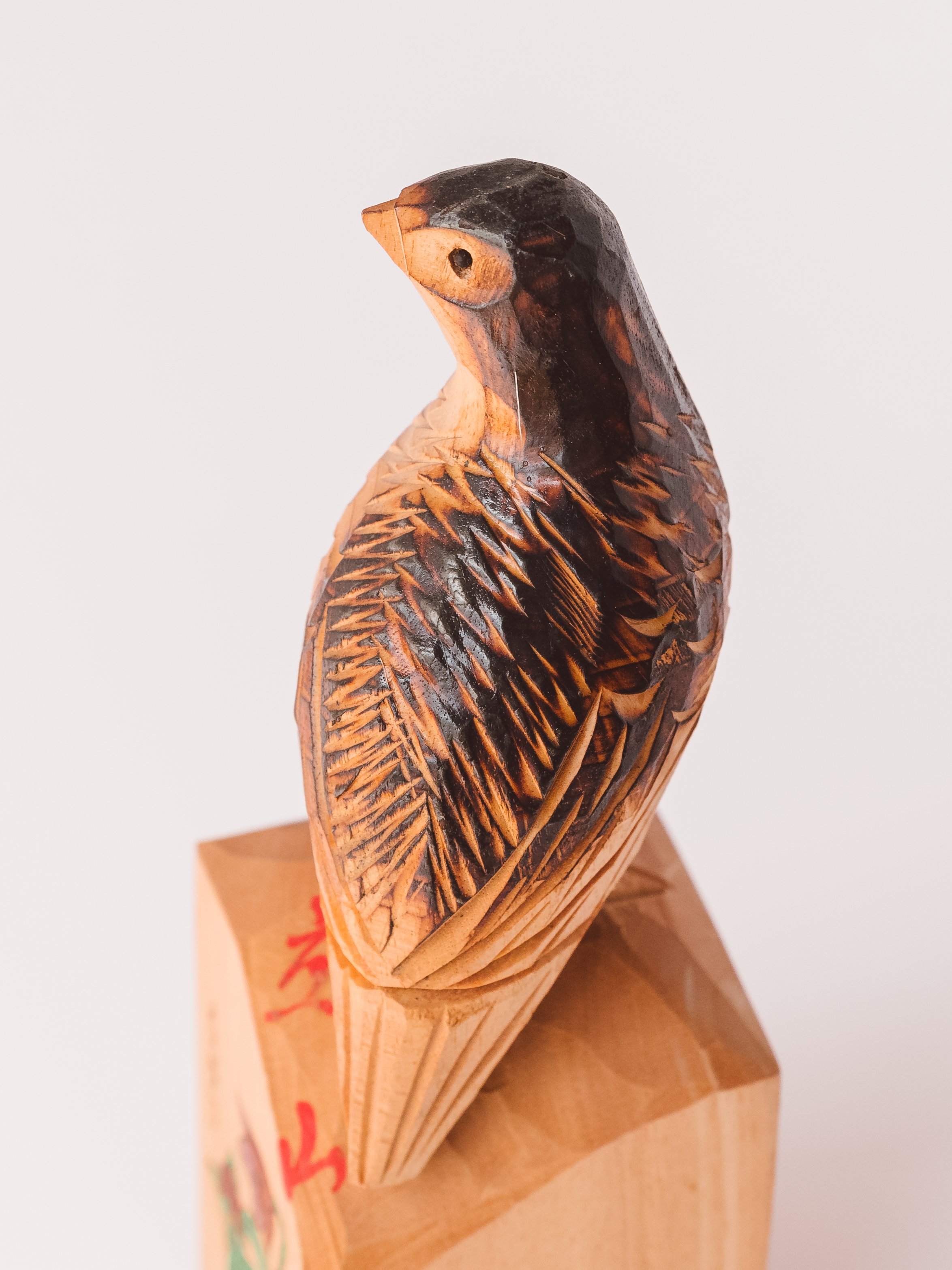 DSCF5717.jpg