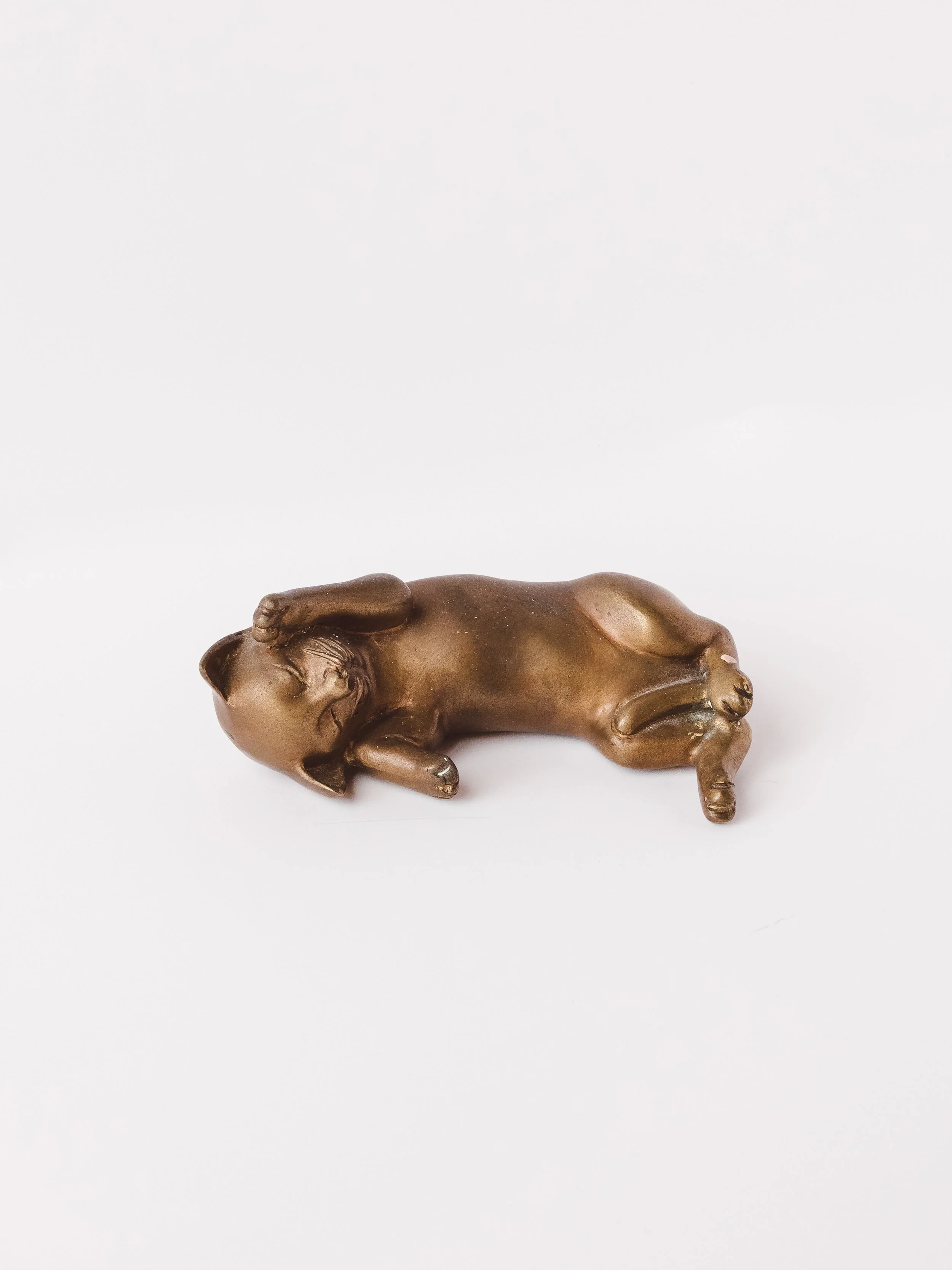 DOZING CAT 1978