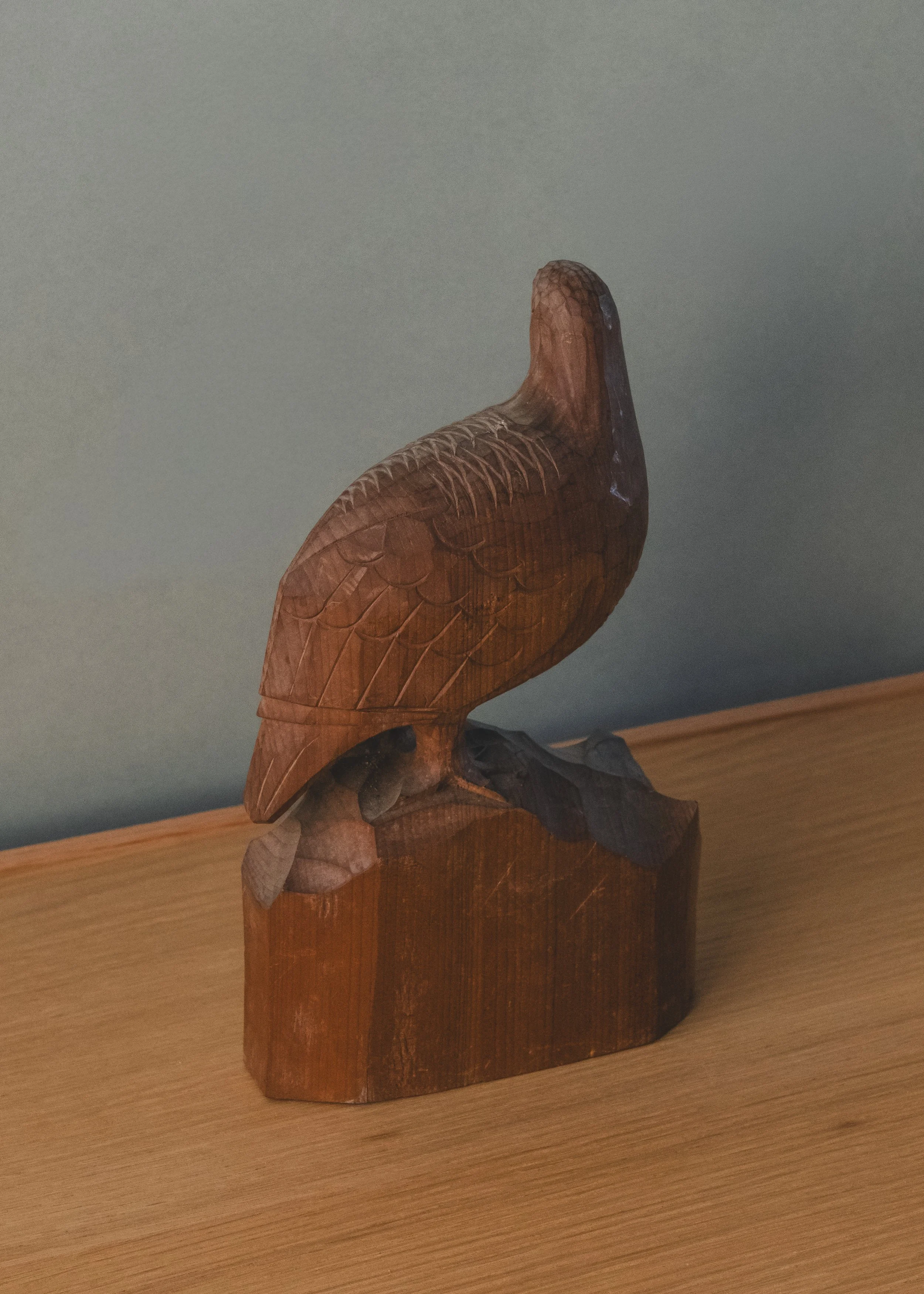 DSCF1293.jpg