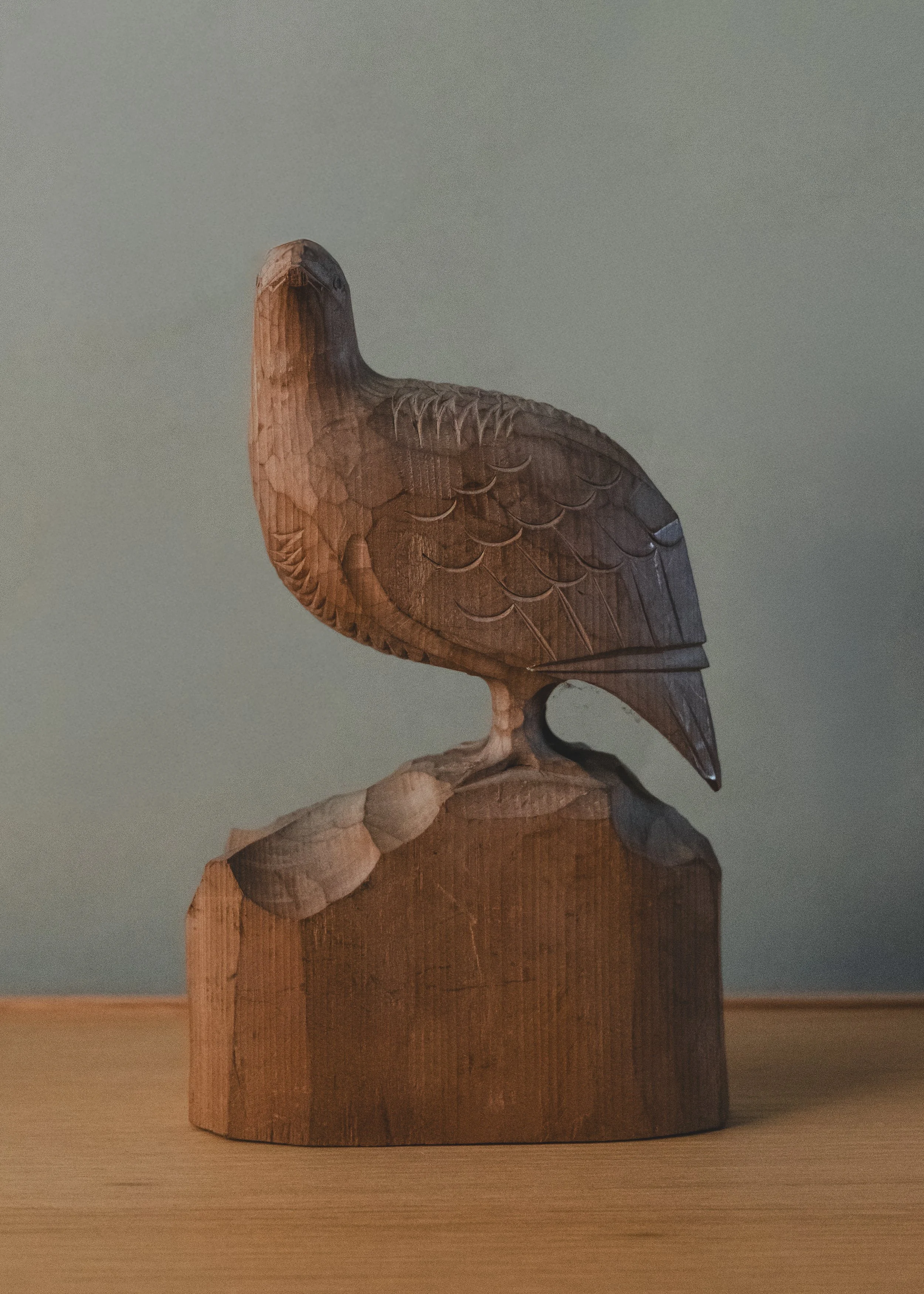 DSCF1298.jpg