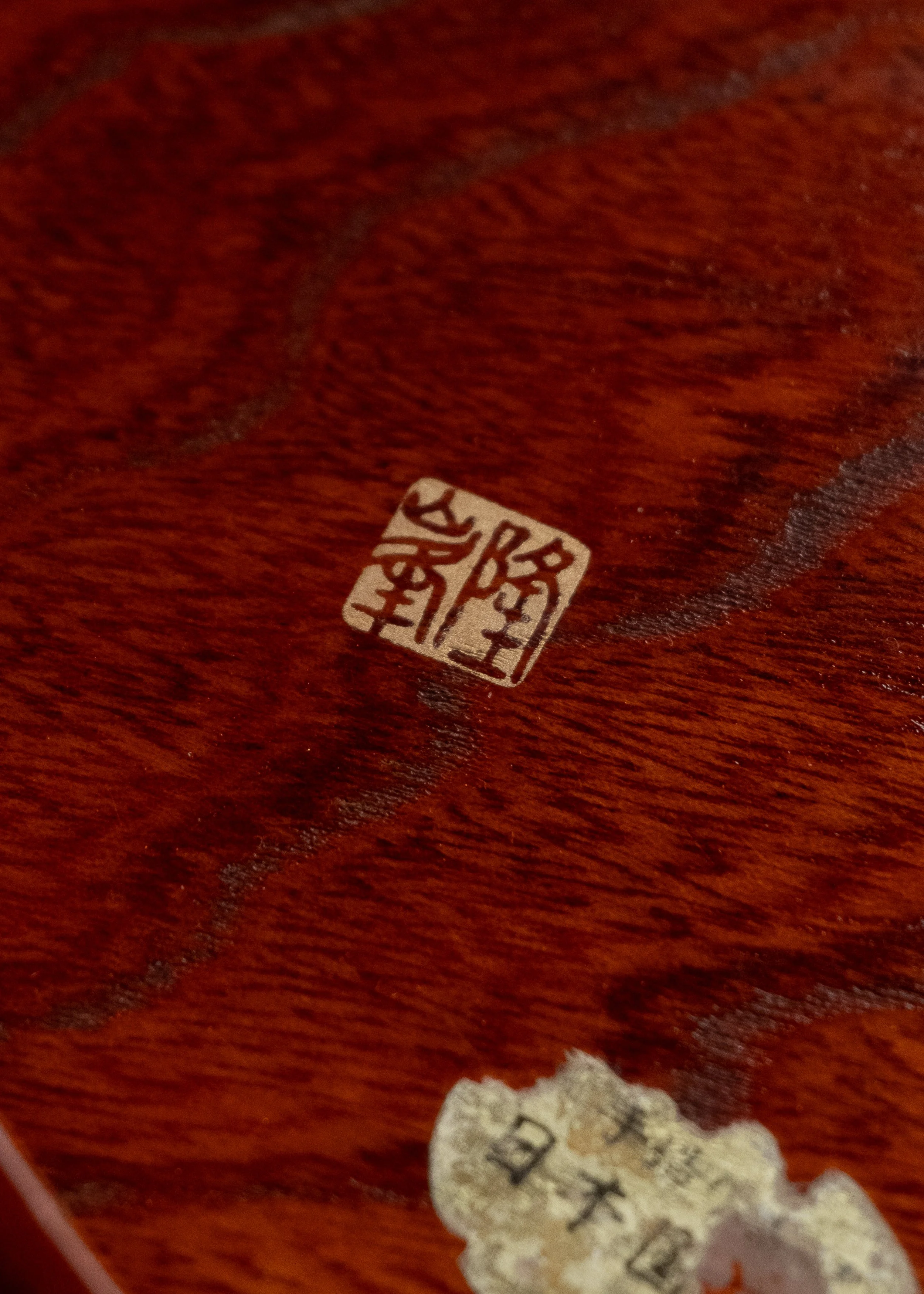 DSCF1569.jpg