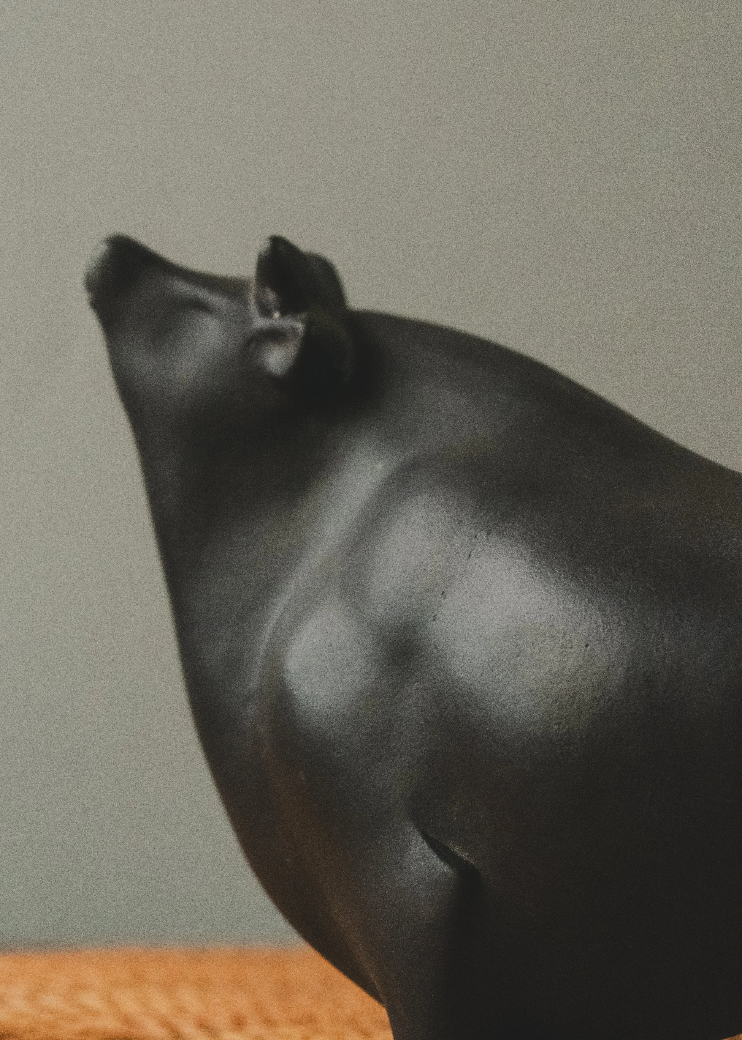 Close-up of the abstract, featureless face of a vintage Japanese bull talisman. Emphasizing the meditative presence and minimalist clay-firing craftsmanship.