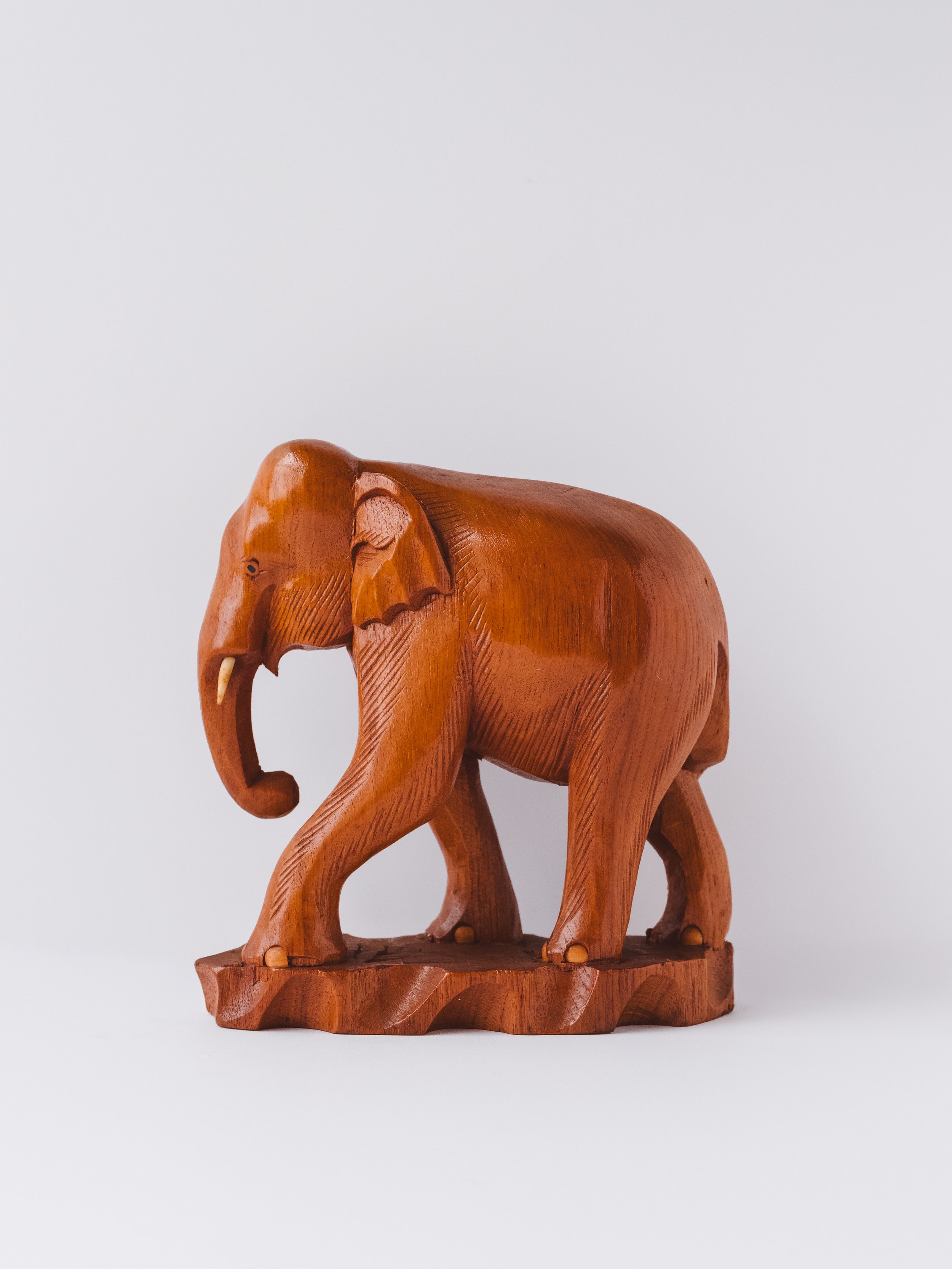 GOLDEN TUSKER 1989
