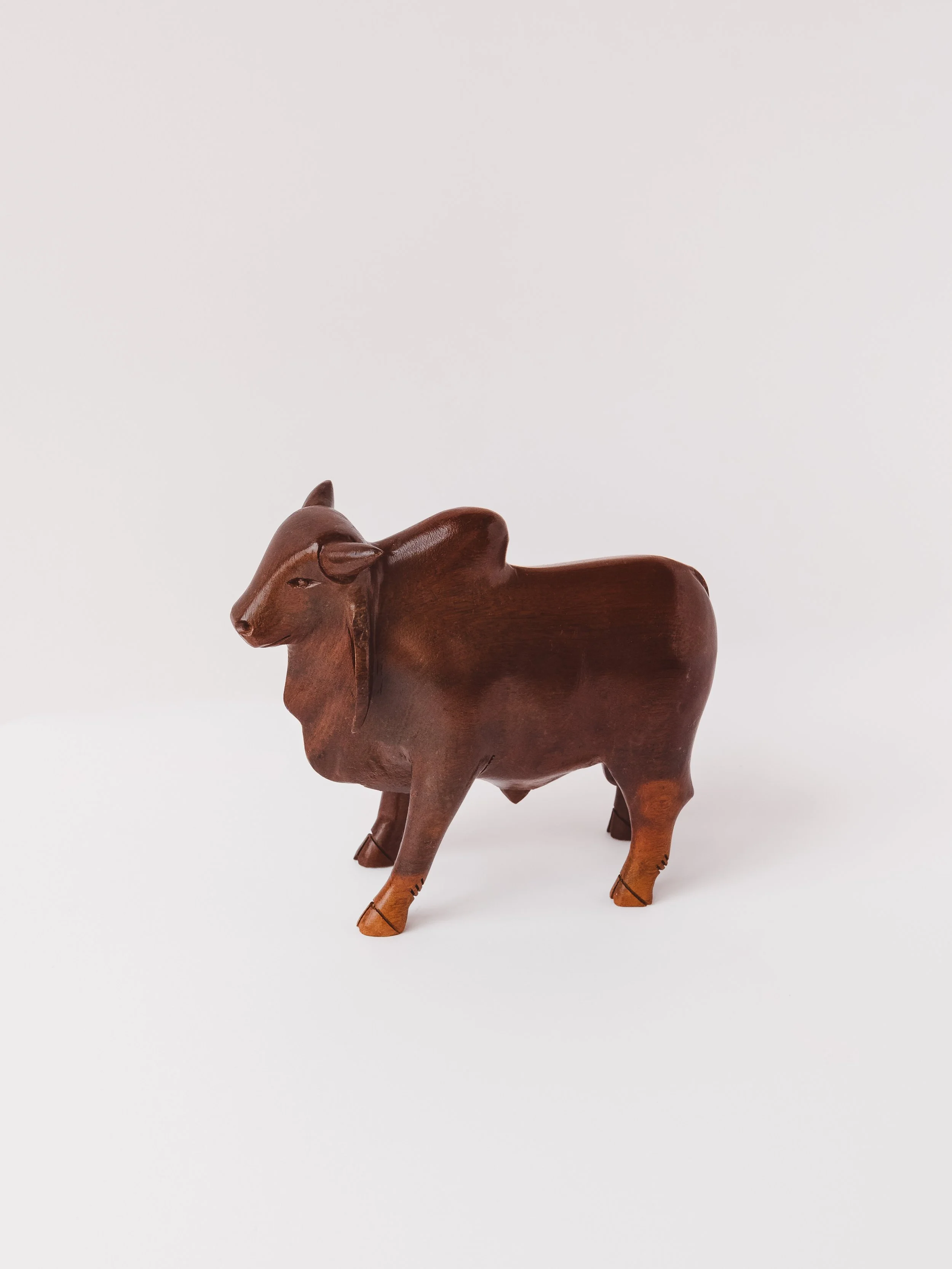 BURNISHED ZEBU 1968