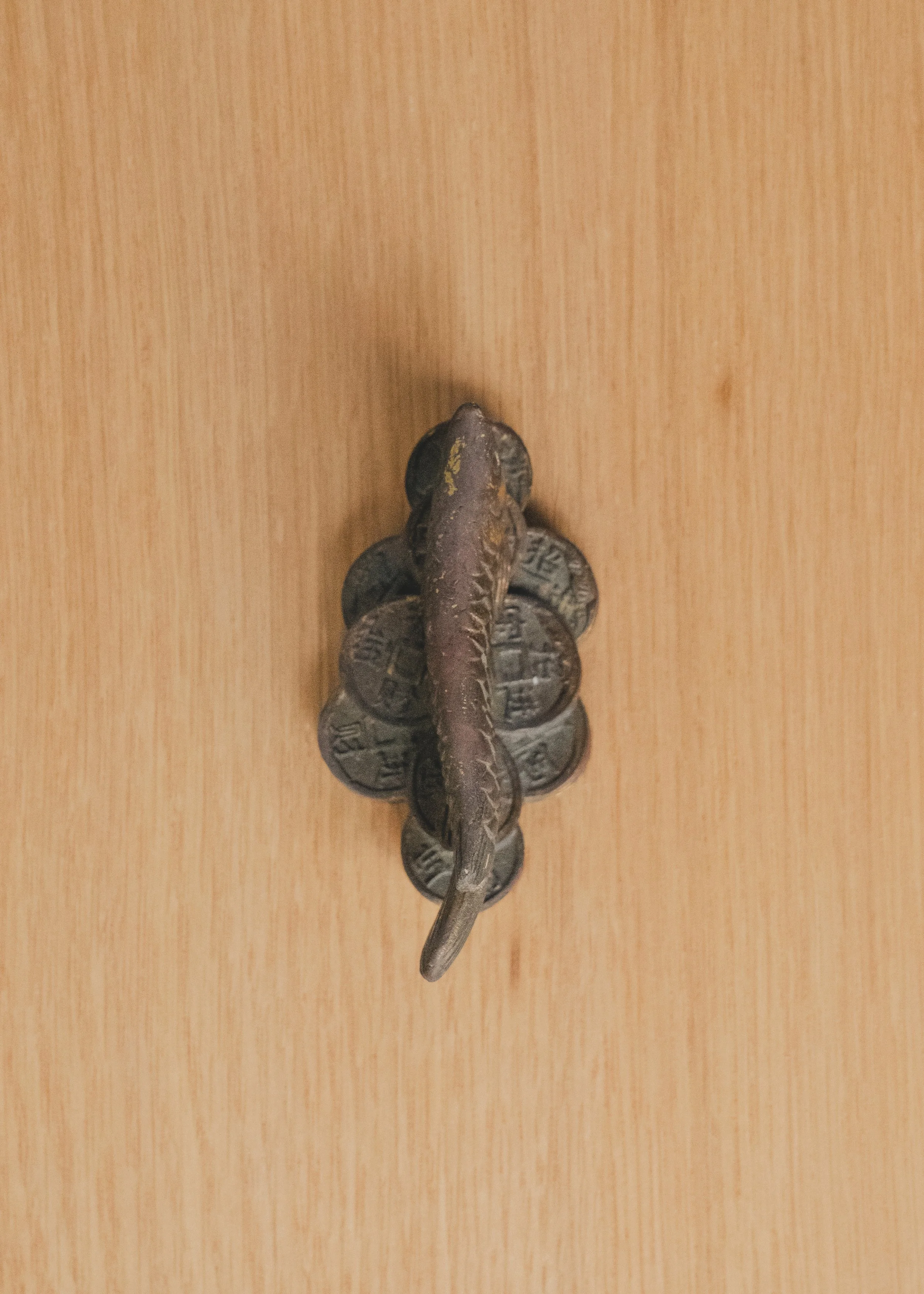 DSCF1397.jpg