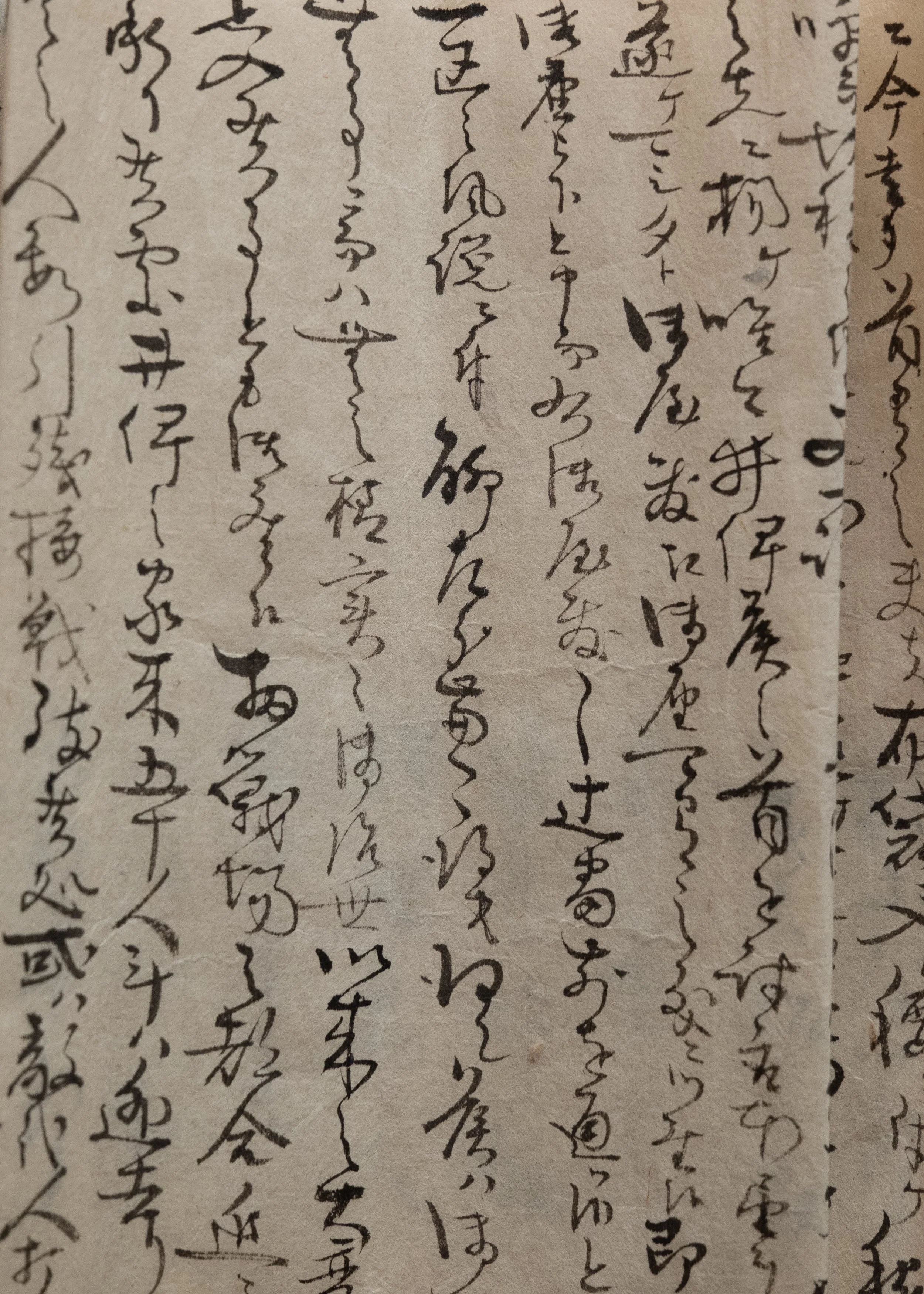 DSCF1579.jpg