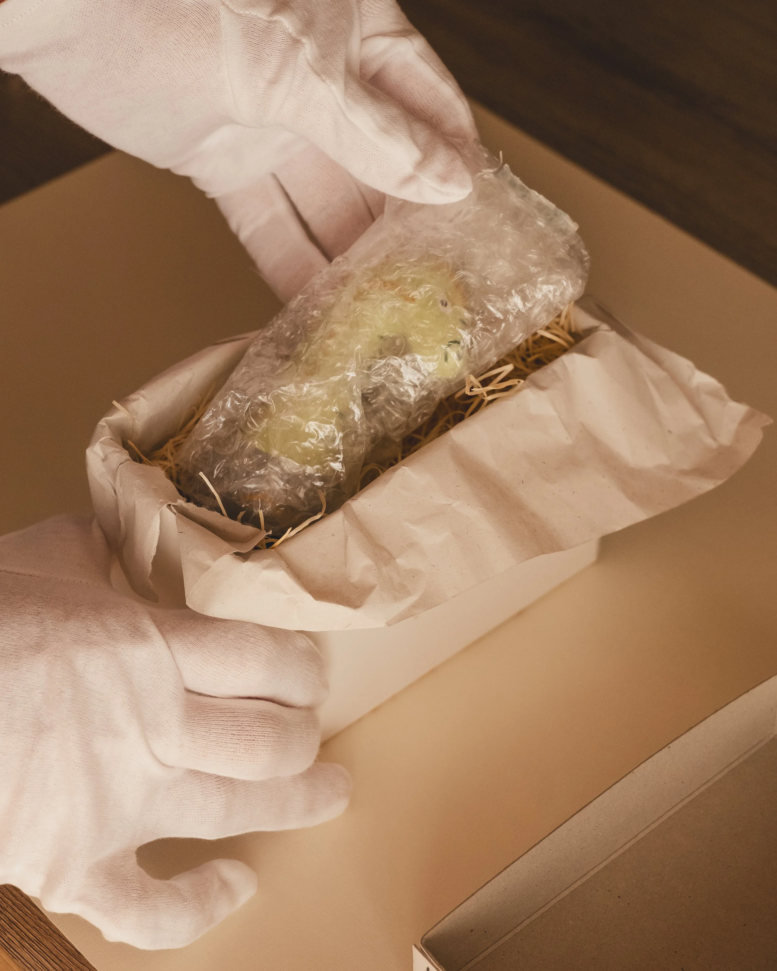 A hand wearing a white glove holding a small sealed bag with a foam object inside, over a white paper-lined box with straw-like packing material.
