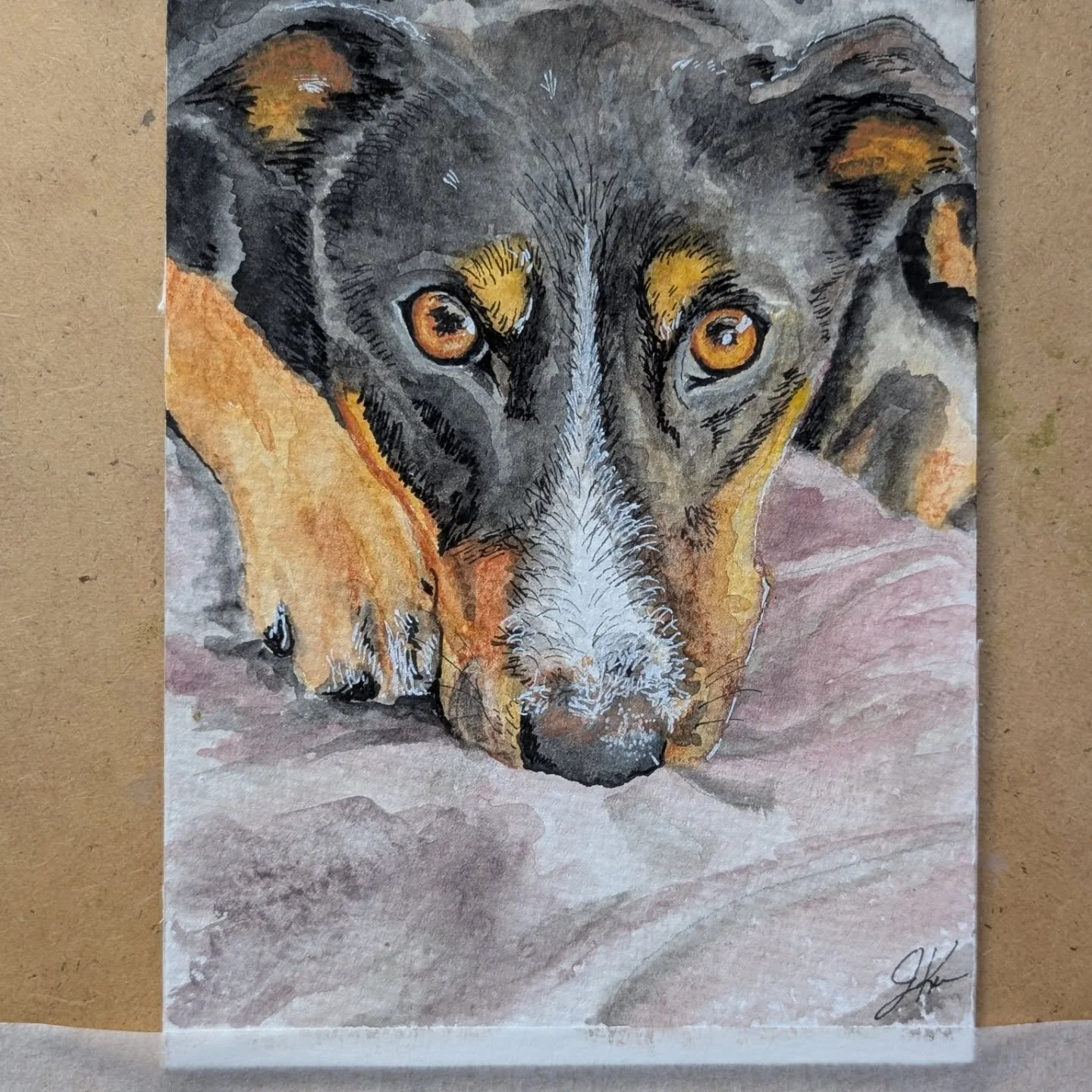 Birch. Watercolor and Ink, 5x7. 
Our beloved boy passed in 2025 suddenly from Lyme's we didn't know he had. This is a gift for my husband, and was a beautiful way to heal from loss. 

#watercolor #petportraitpainting #watercolorandink #watercolorpain