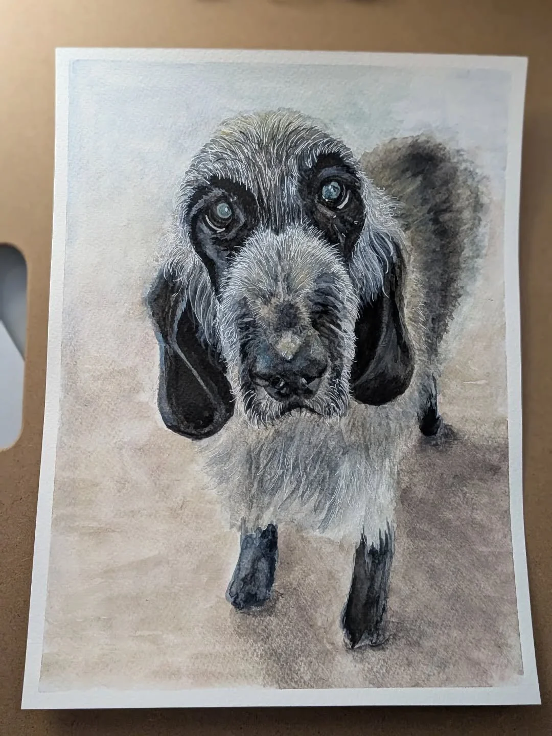 Lots of painting commissions so far in 2026! This cutie is "Ringo". 9x12 watercolor on paper.

#watercolourpainting #dogpainting #artistsoninstagram #watercolorpainting #ringo