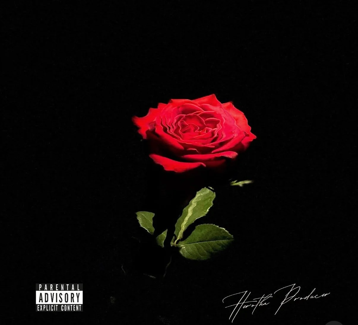 A single red rose with green leaves against a black background, with an explicit content warning label and a signature reading 'Herotha Producer'.