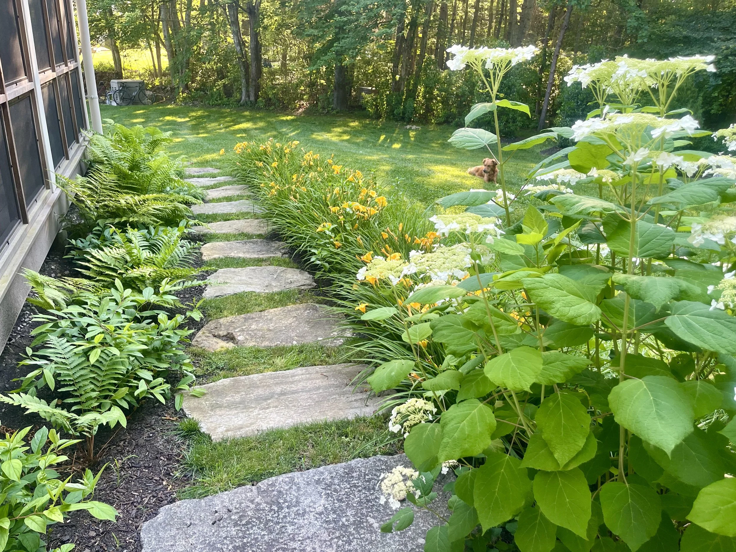 tee lane_after 3 (1).jpg