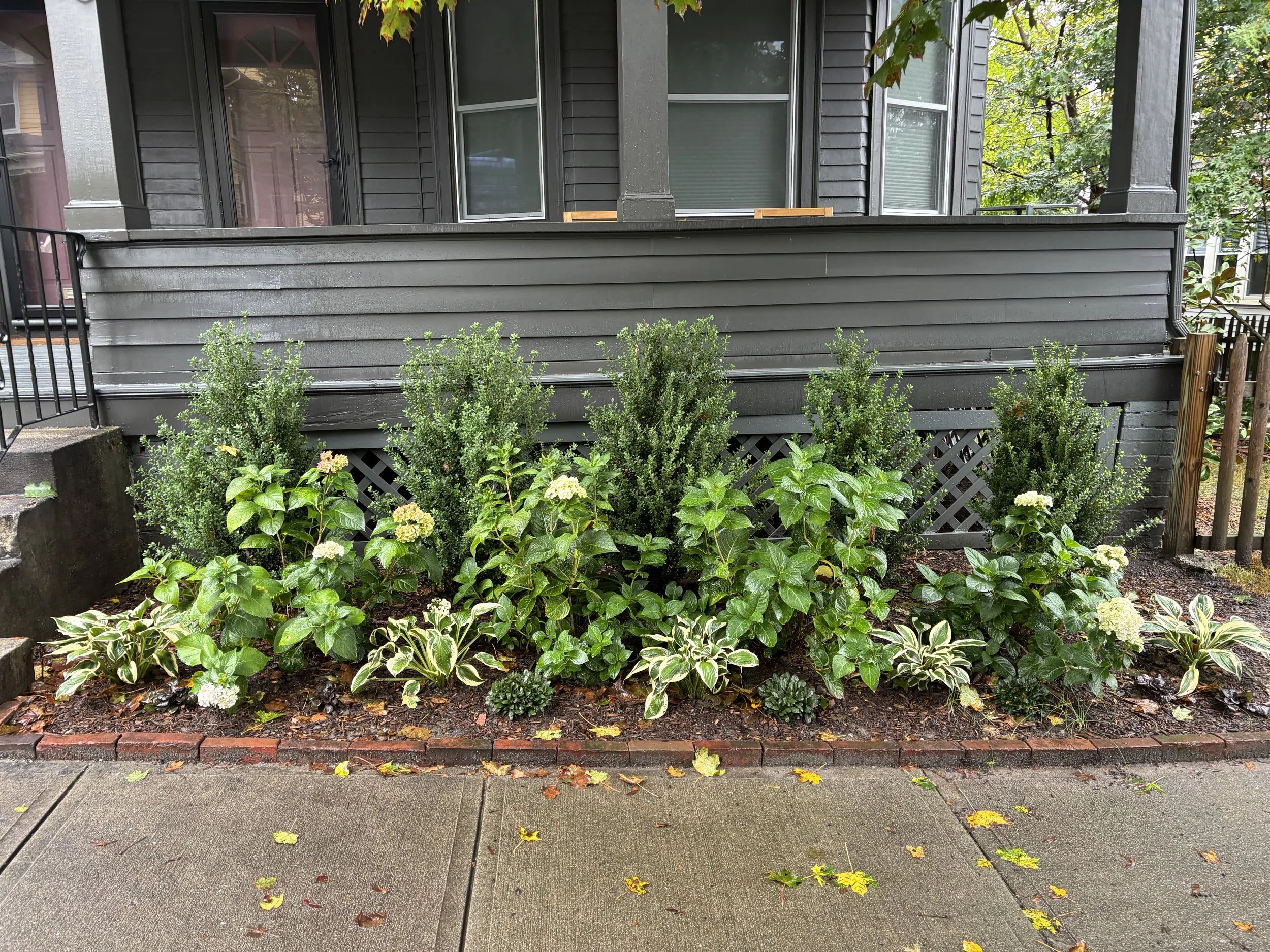 forest st_after 1 (1).jpg