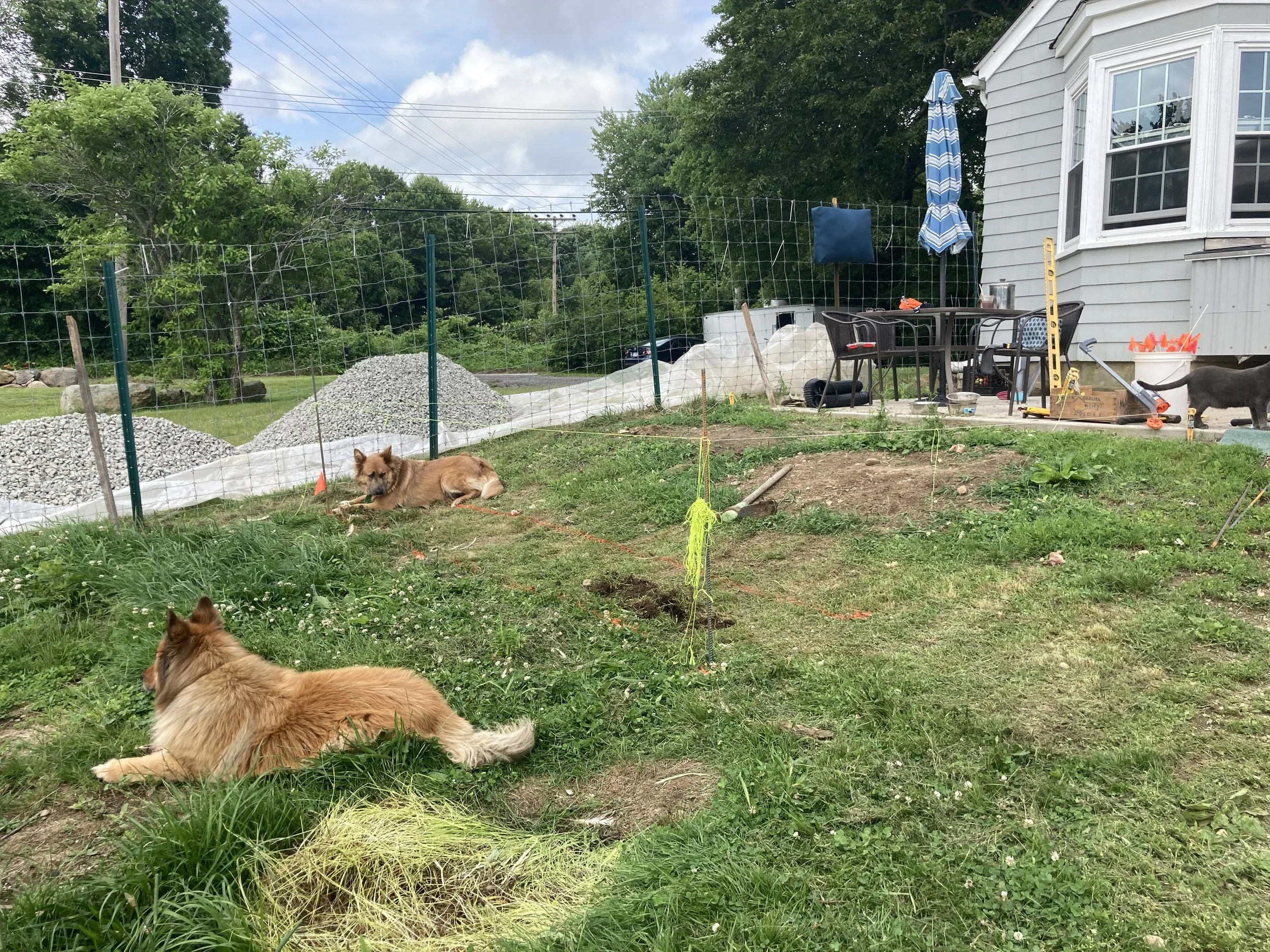 laten knight_before 2.jpg