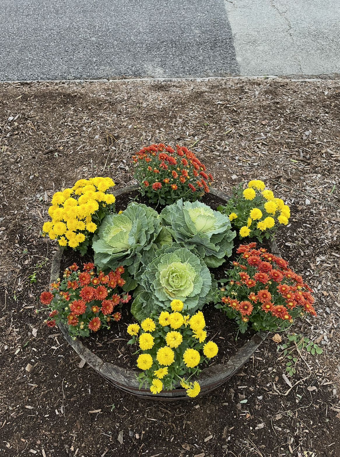 Screenshot 2026-01-13 at 9.05.11 PM.png