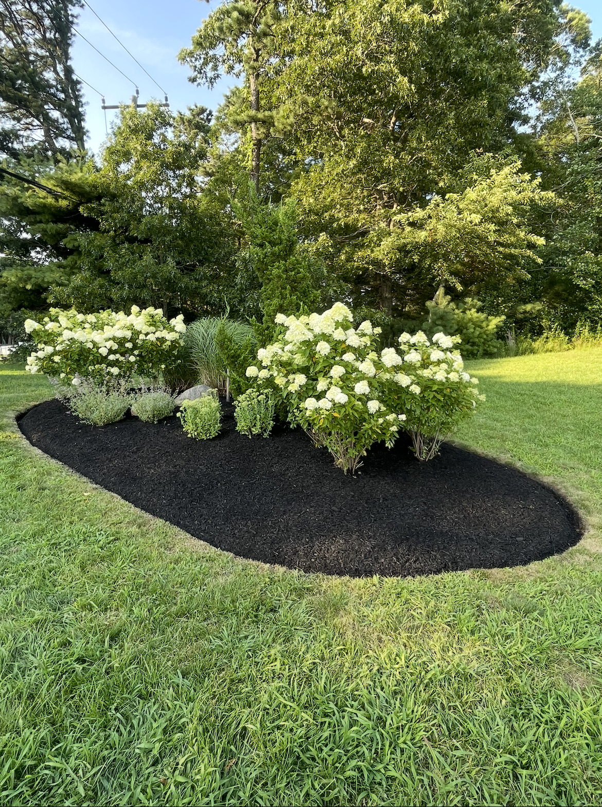 Screenshot 2026-01-13 at 8.34.10 PM.png