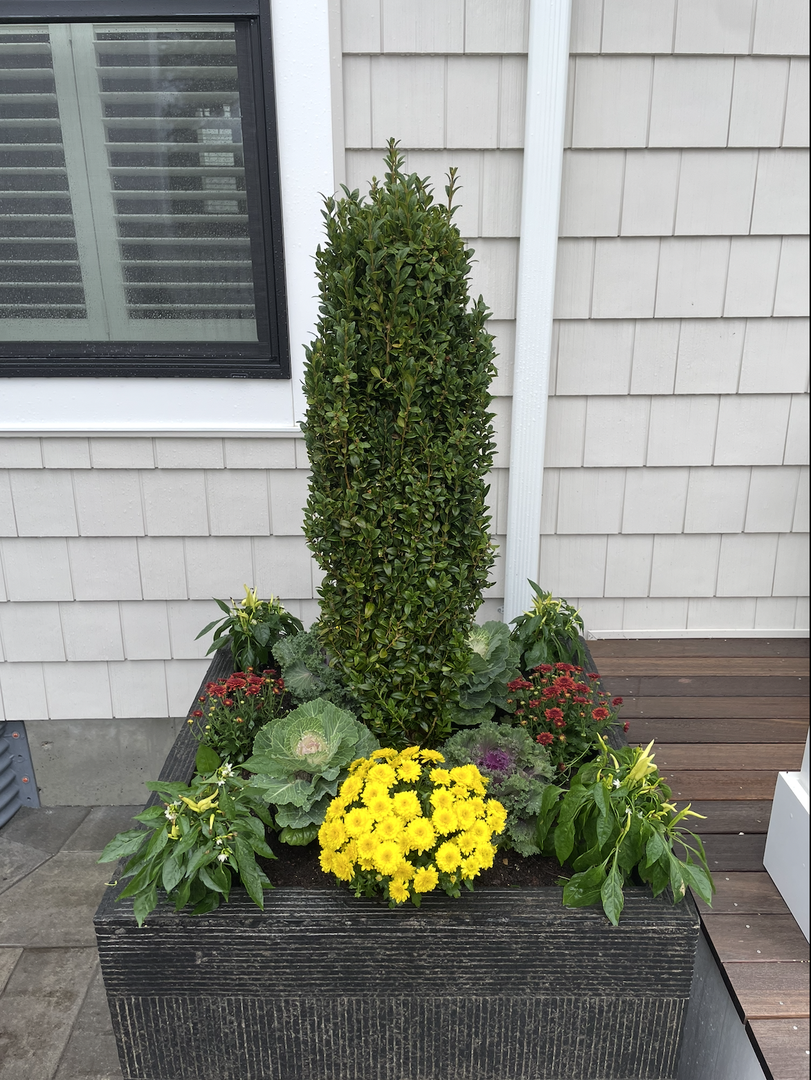 Screenshot 2026-01-13 at 9.05.35 PM.png