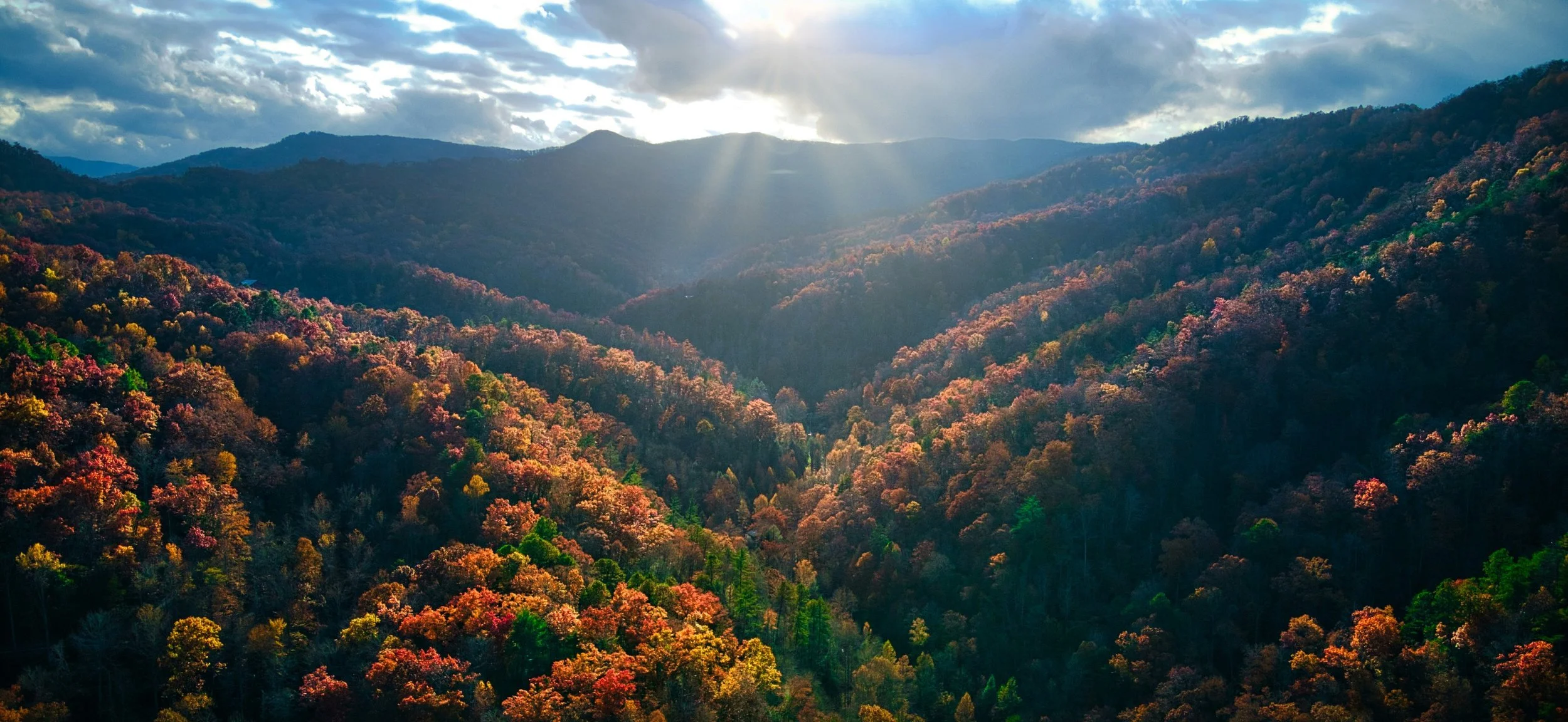 Short-Term Rental Rules in Gatlinburg, Pigeon Forge and Sevier County (2026 Guide)
