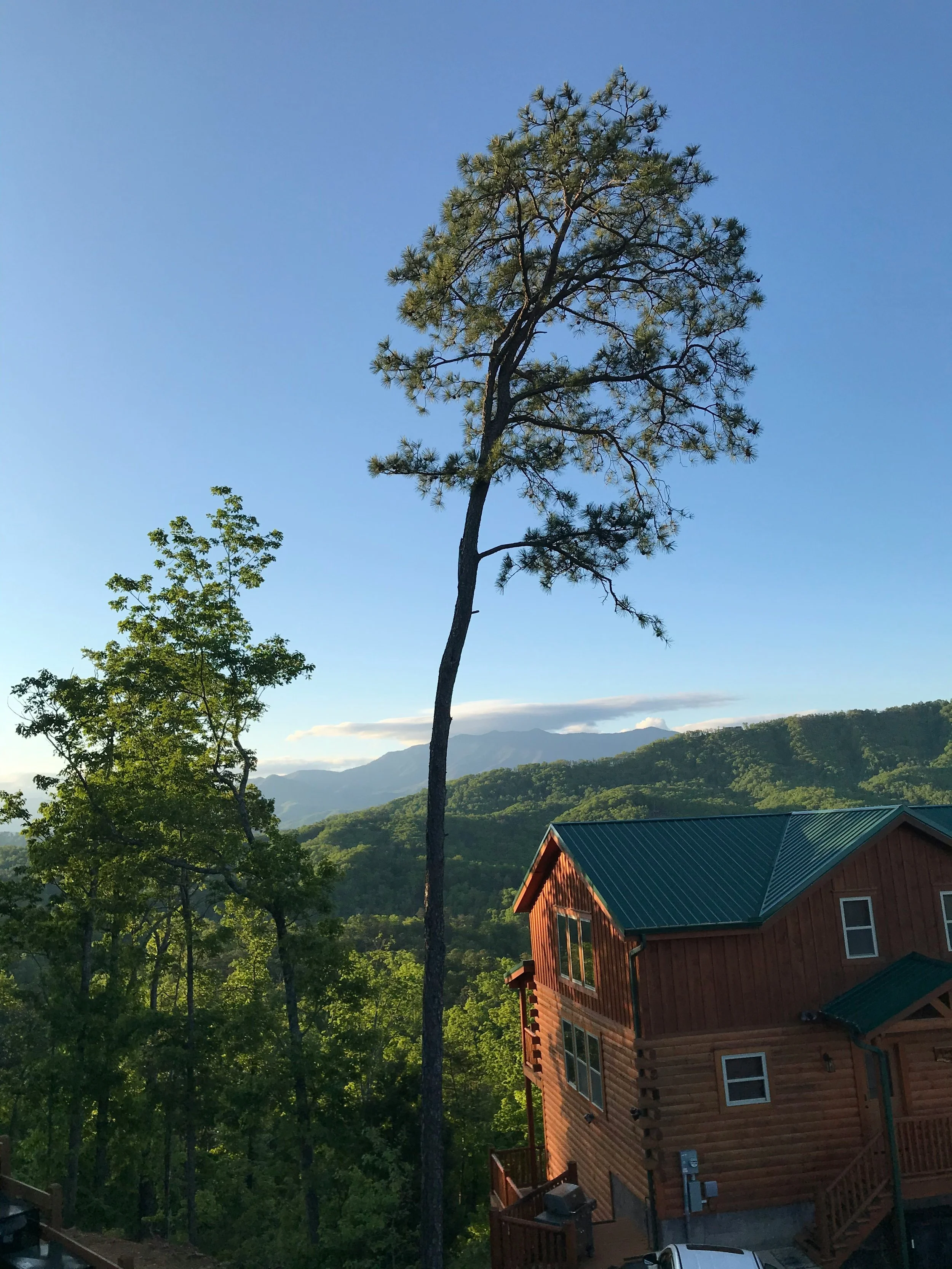 Is a Smoky Mountains Cabin a Good Investment in 2026?