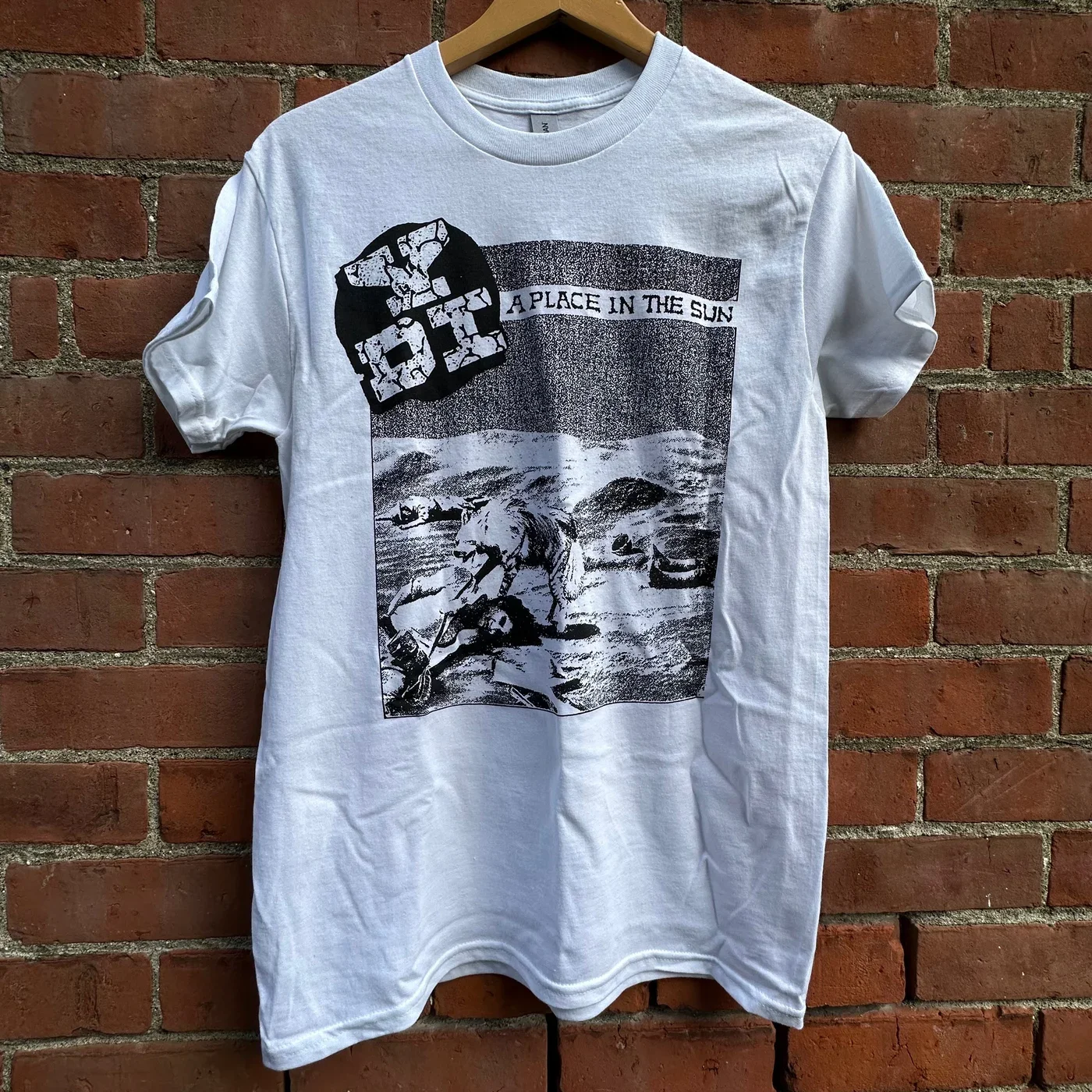 ydi-a-place-in-the-sun (1).webp