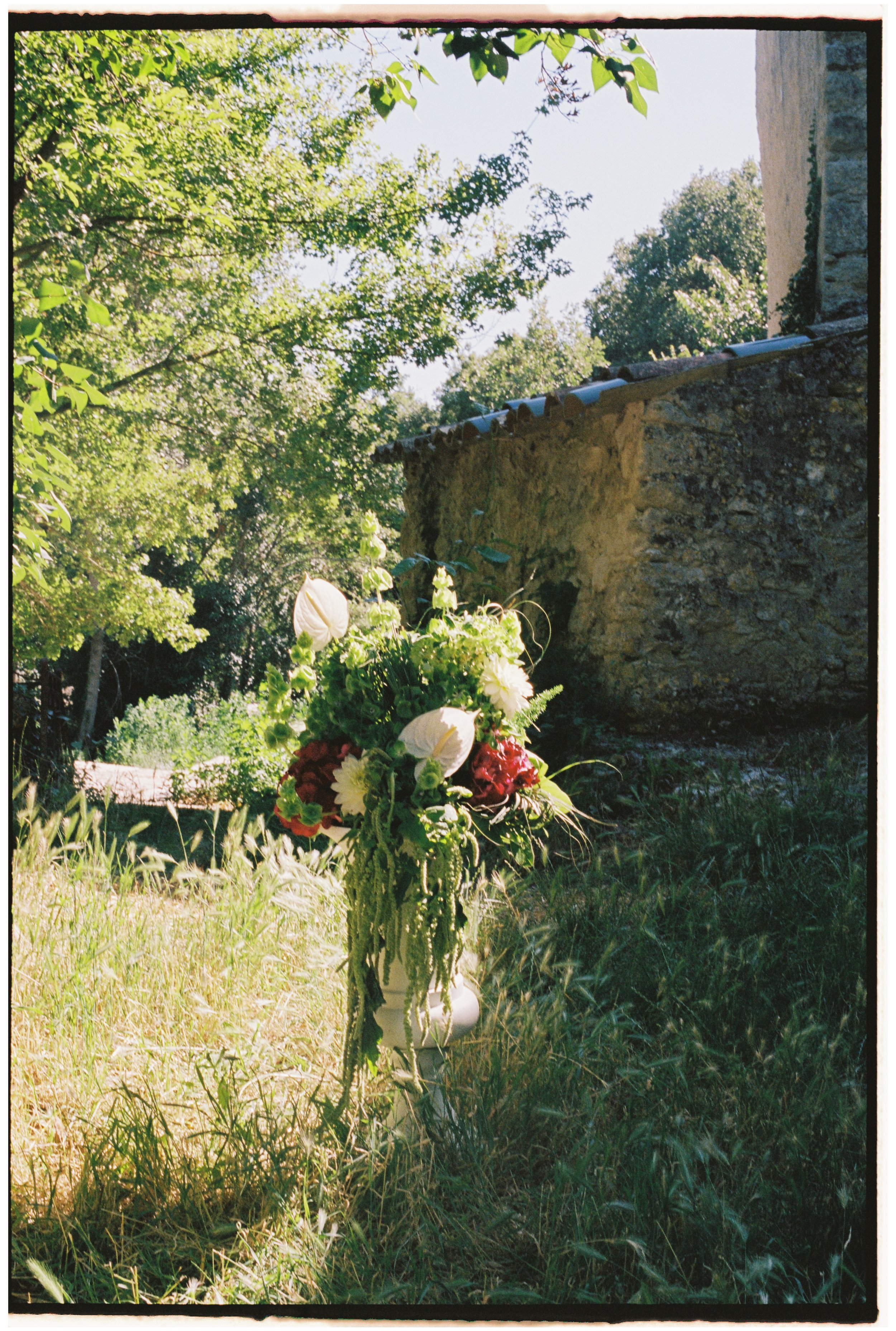 Portra 400 20000041.jpg