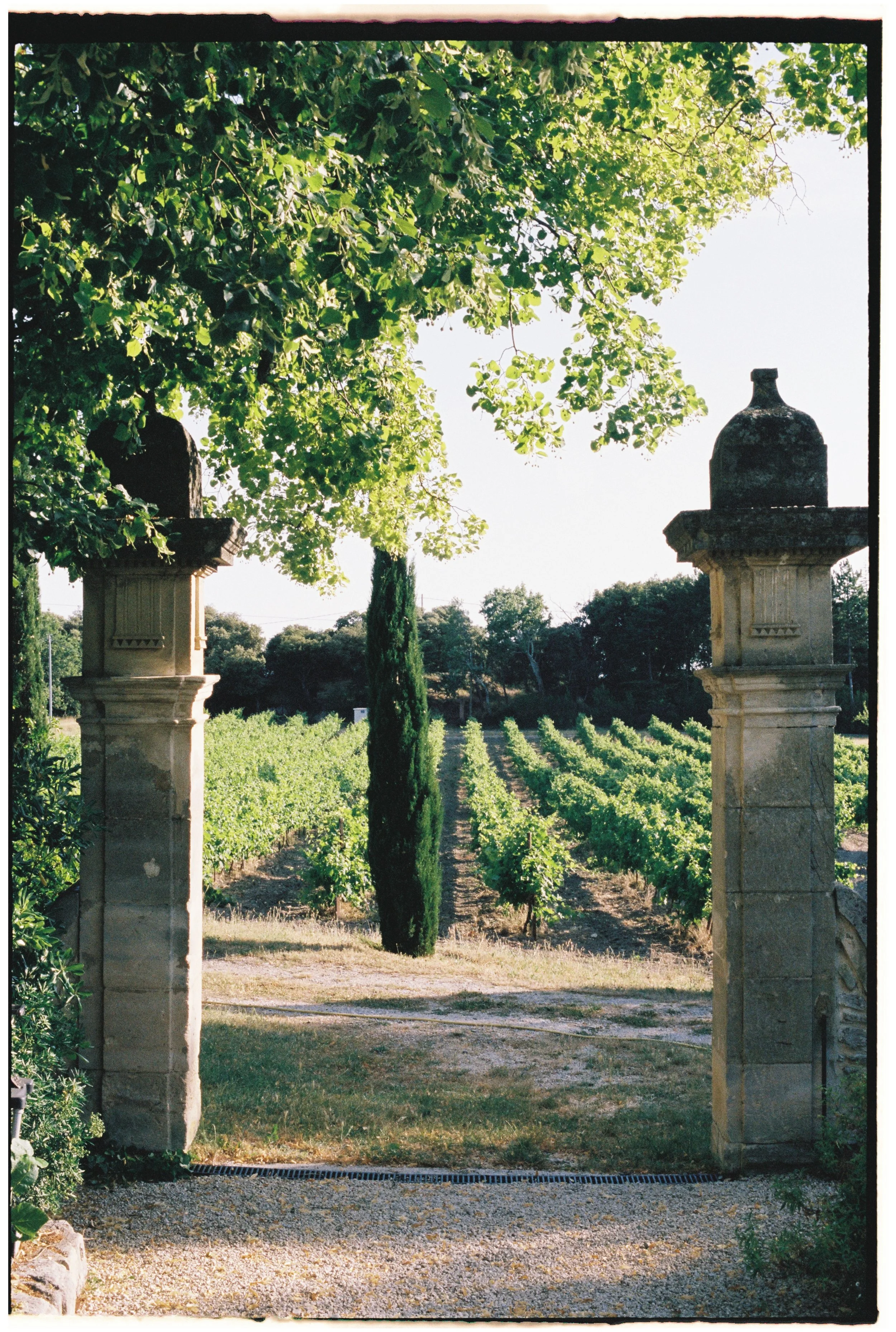 Portra 400 10000046.jpg