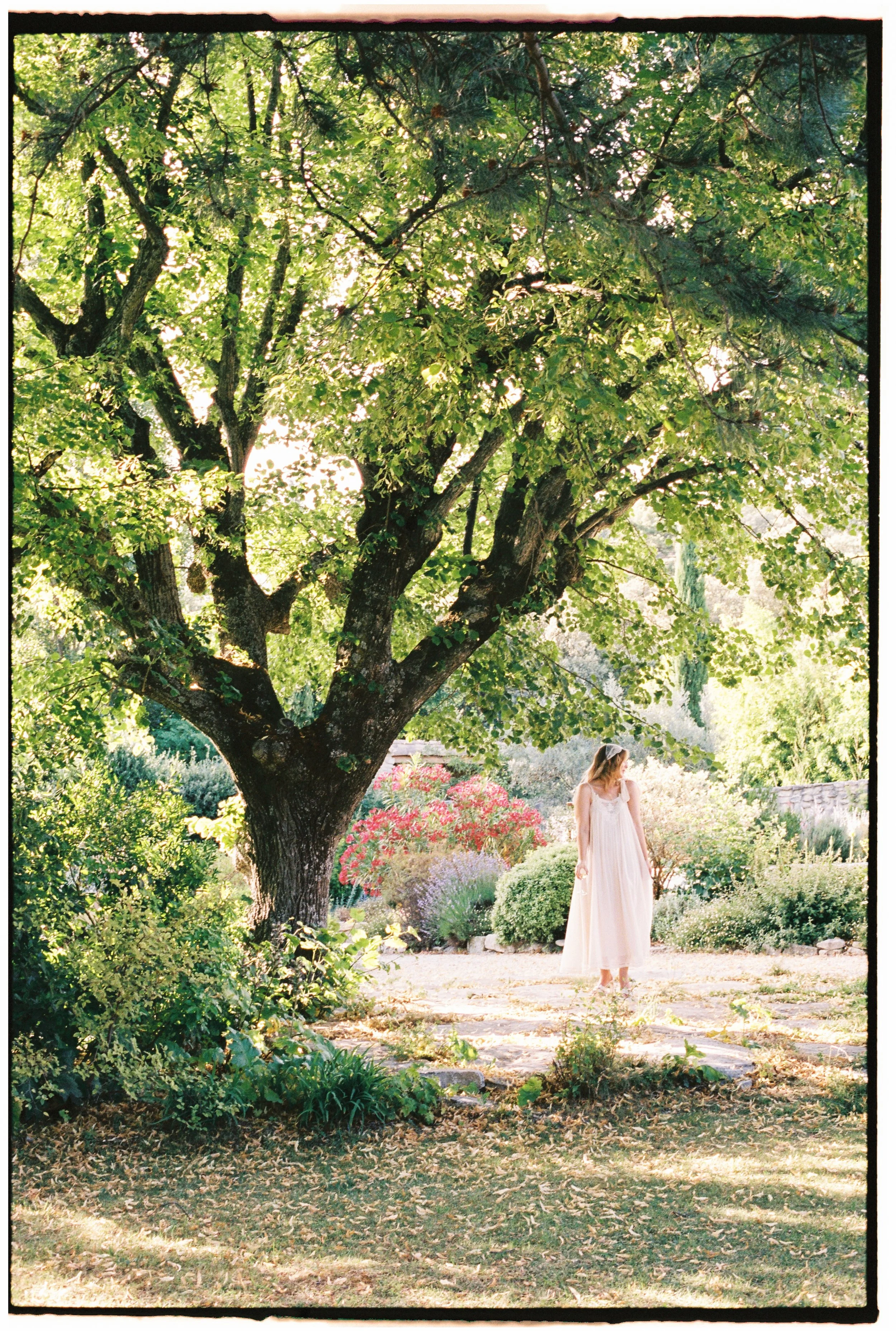 Portra 400 10000041.jpg