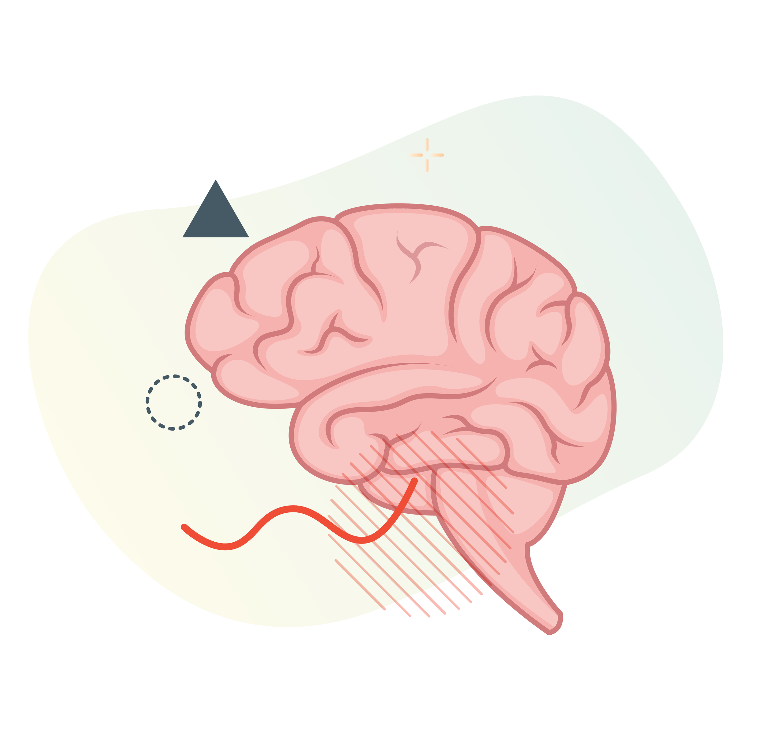 Brain Illustrating Cognitive Science