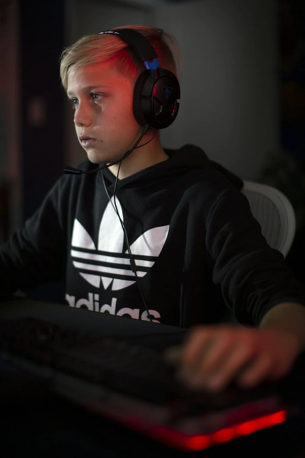 500257.xx_large (1).jpg