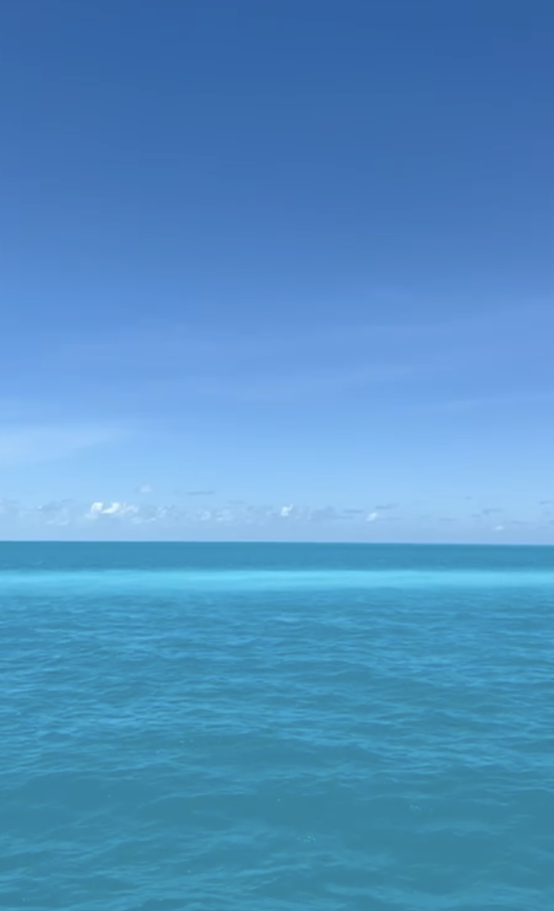 Screenshot 2026-03-20 at 15.25.29.png