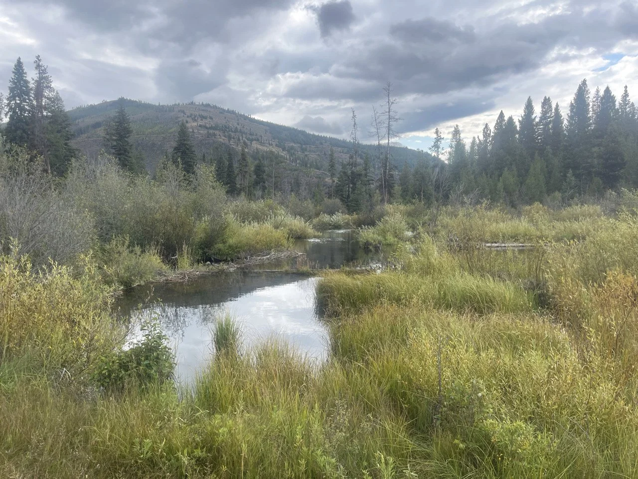 Lower Blackfoot Project Photo.jpg