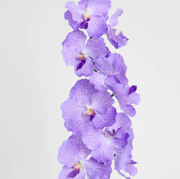 Screen Shot 2026-04-02 at 9.04.37 pm.png