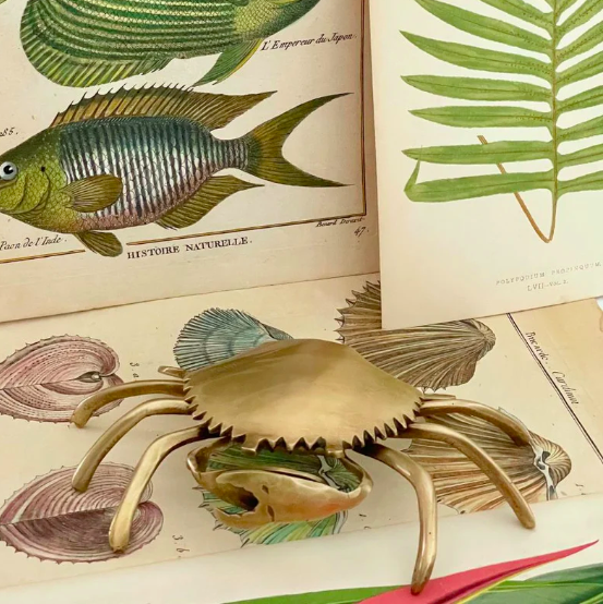 Screen Shot 2026-02-03 at 10.13.06 am.png